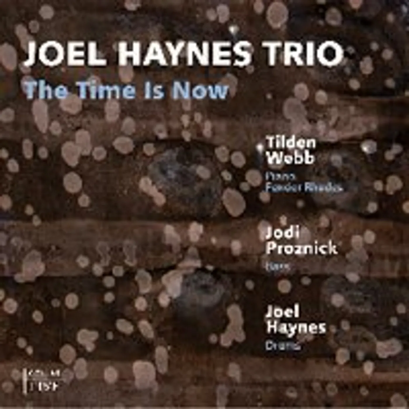 Joel Haynes TIME IS NOW CD