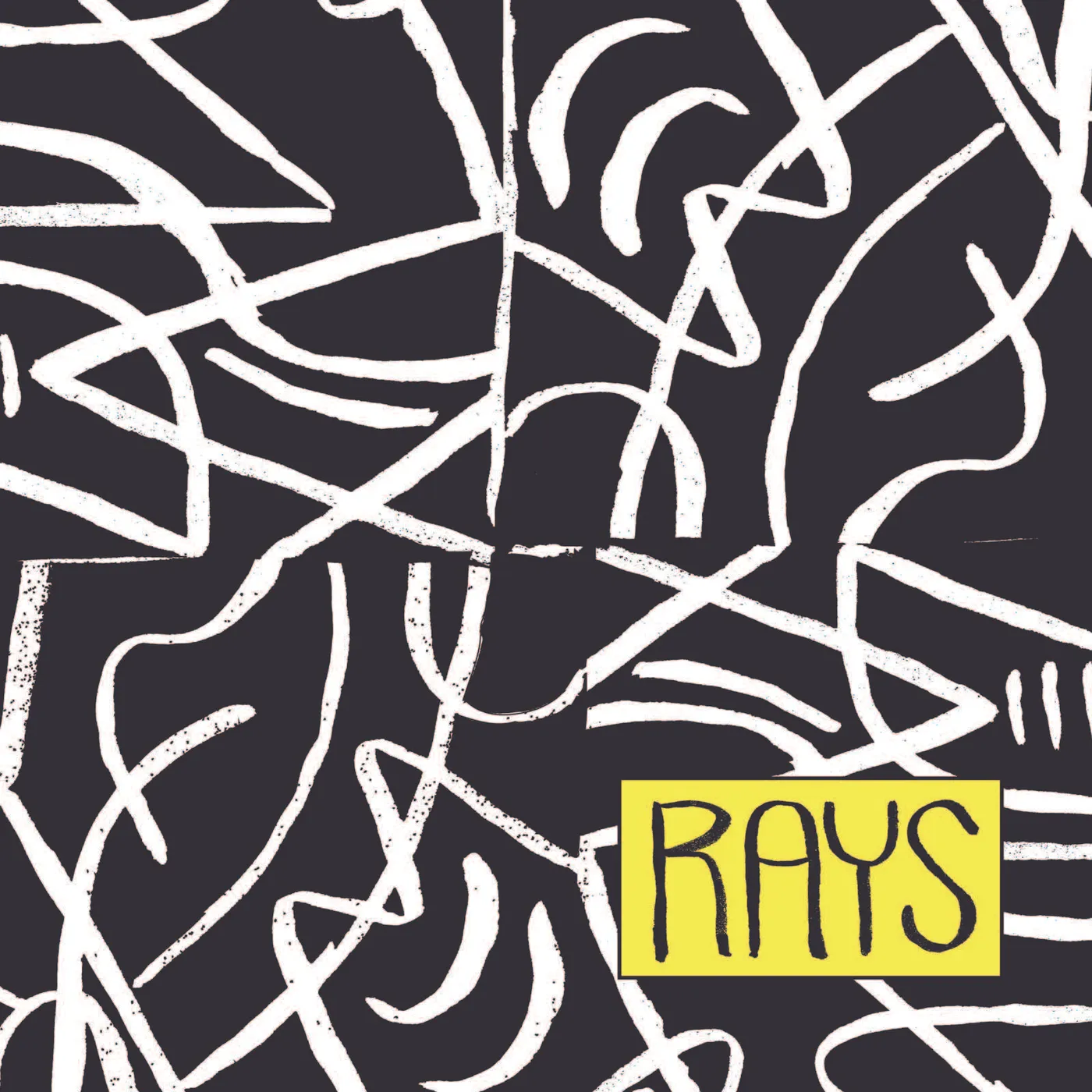 The Rays Vinyl Record
