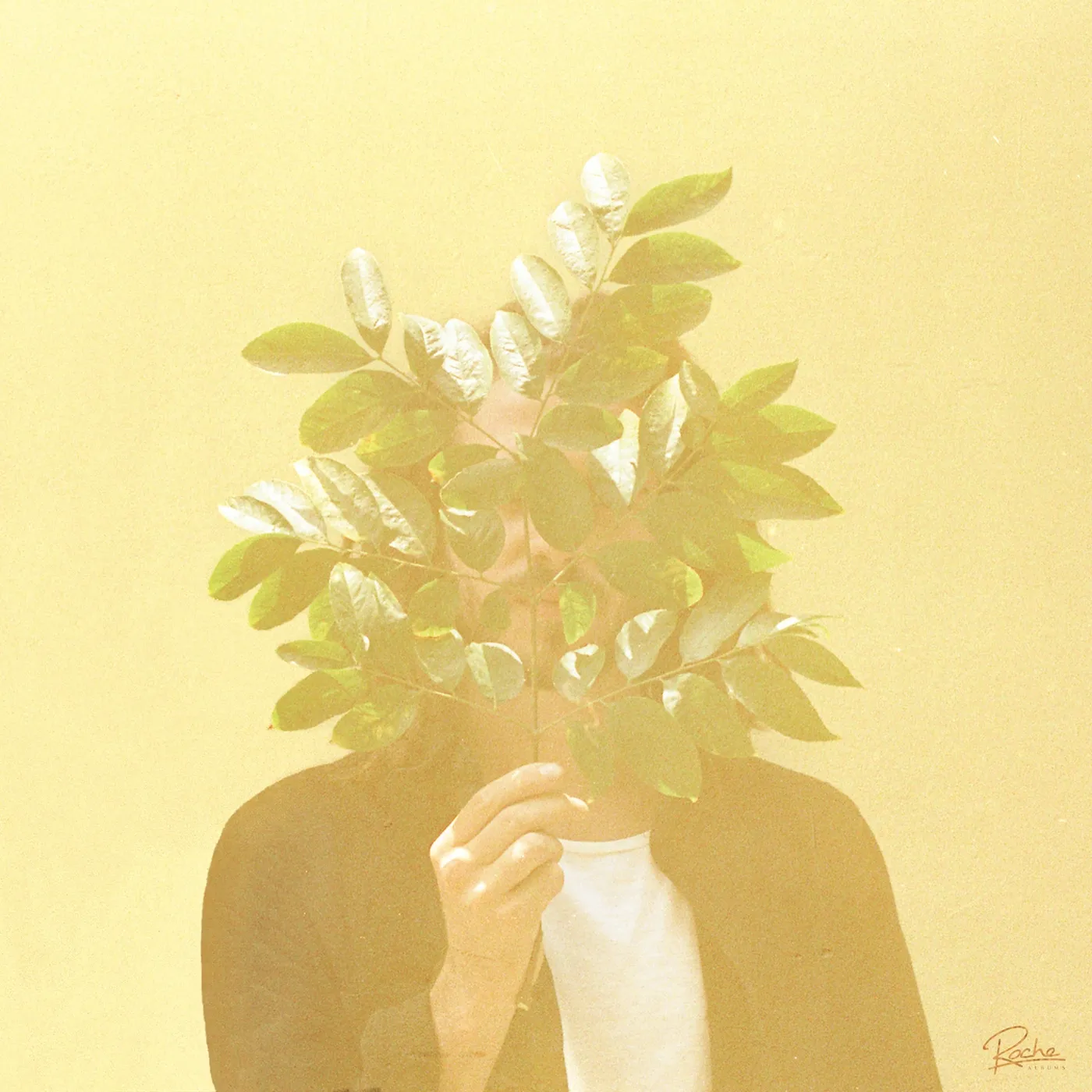 FKJ FRENCH KIWI JUICE CD