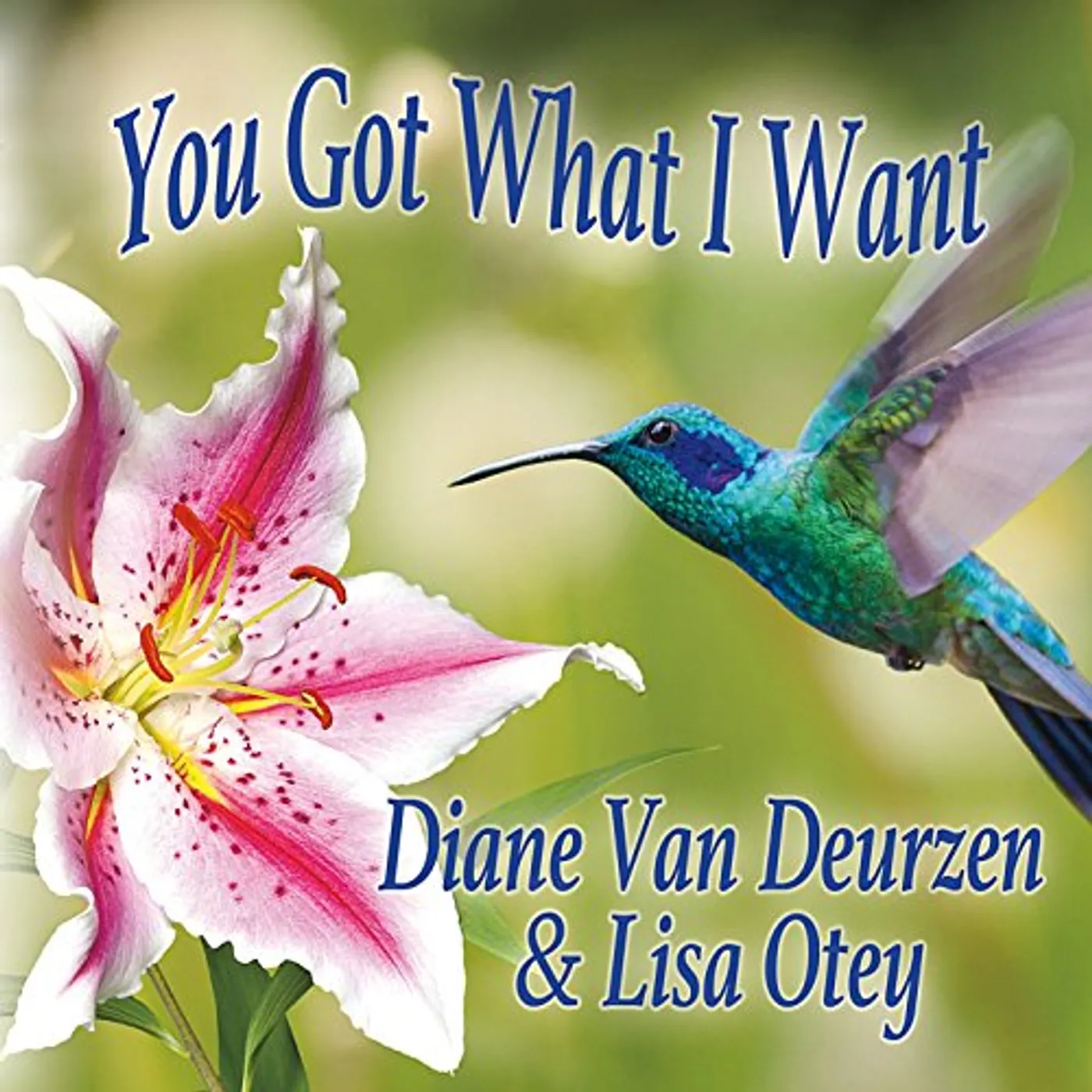 Diane Van Deurzen YOU GOT WHAT I WANT CD