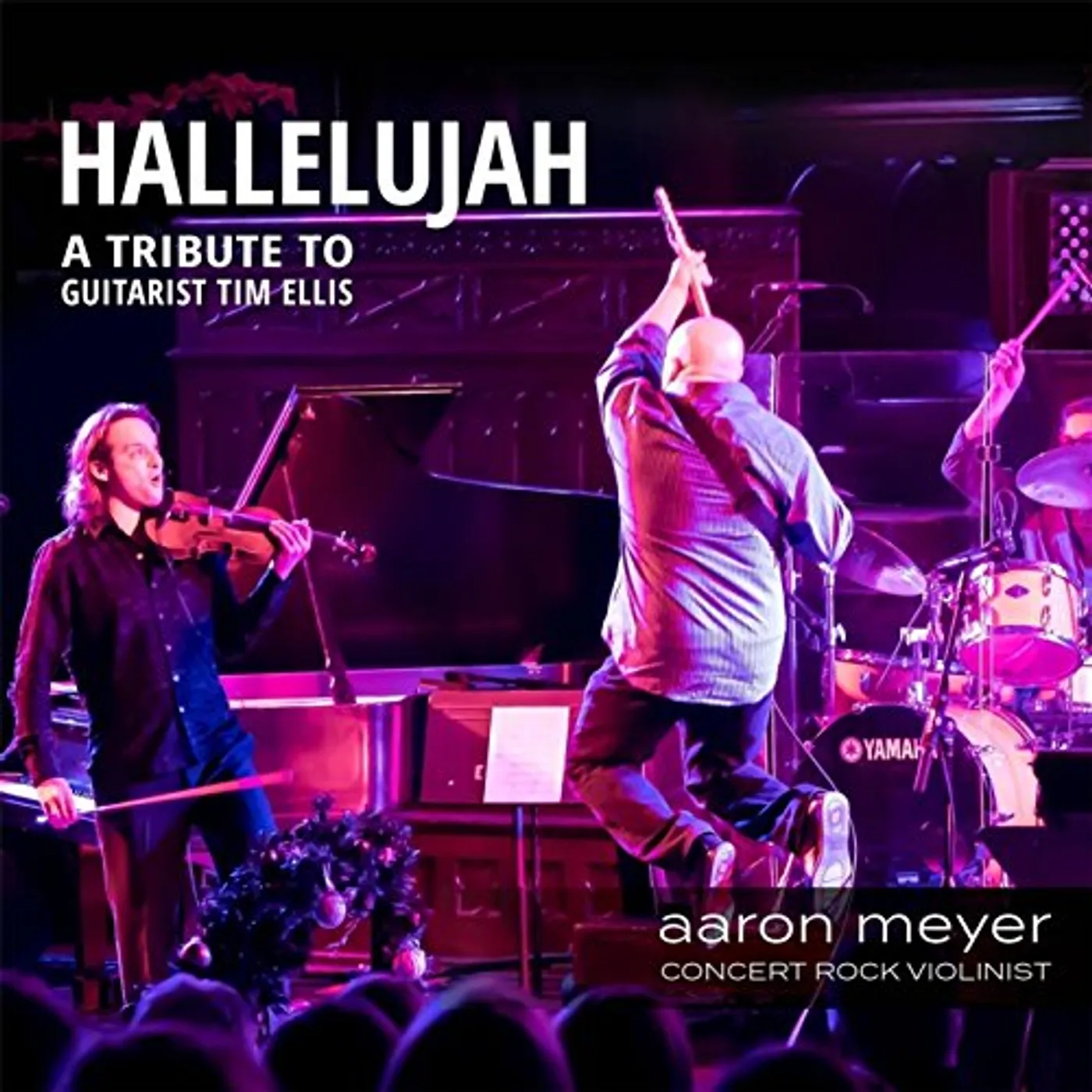 Aaron Meyer HALLELUJAH: A TRIBUTE TO GUITARIST TIM ELLIS CD