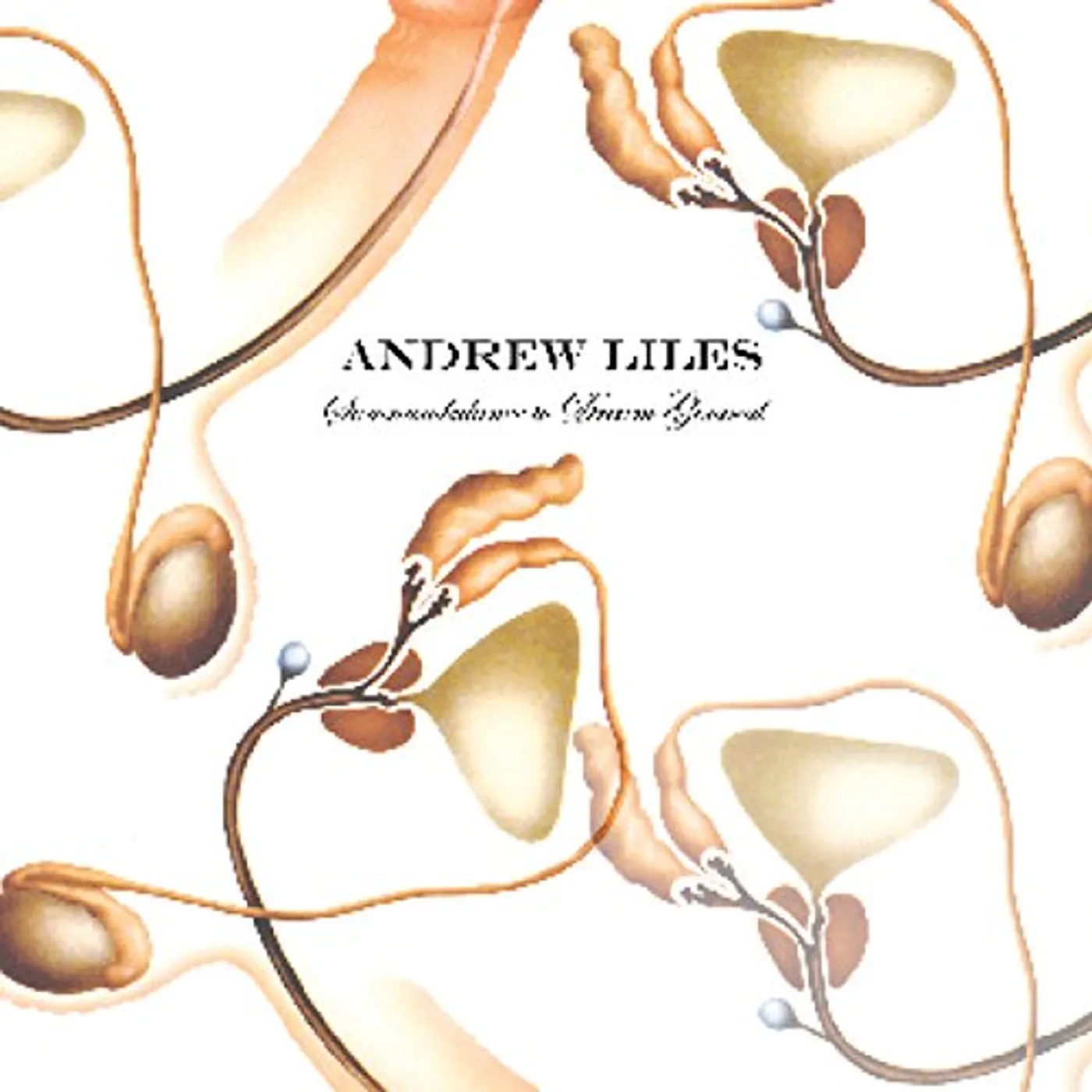 Andrew Liles SOMNAMBULANCE TO DREAM GENERAL CD