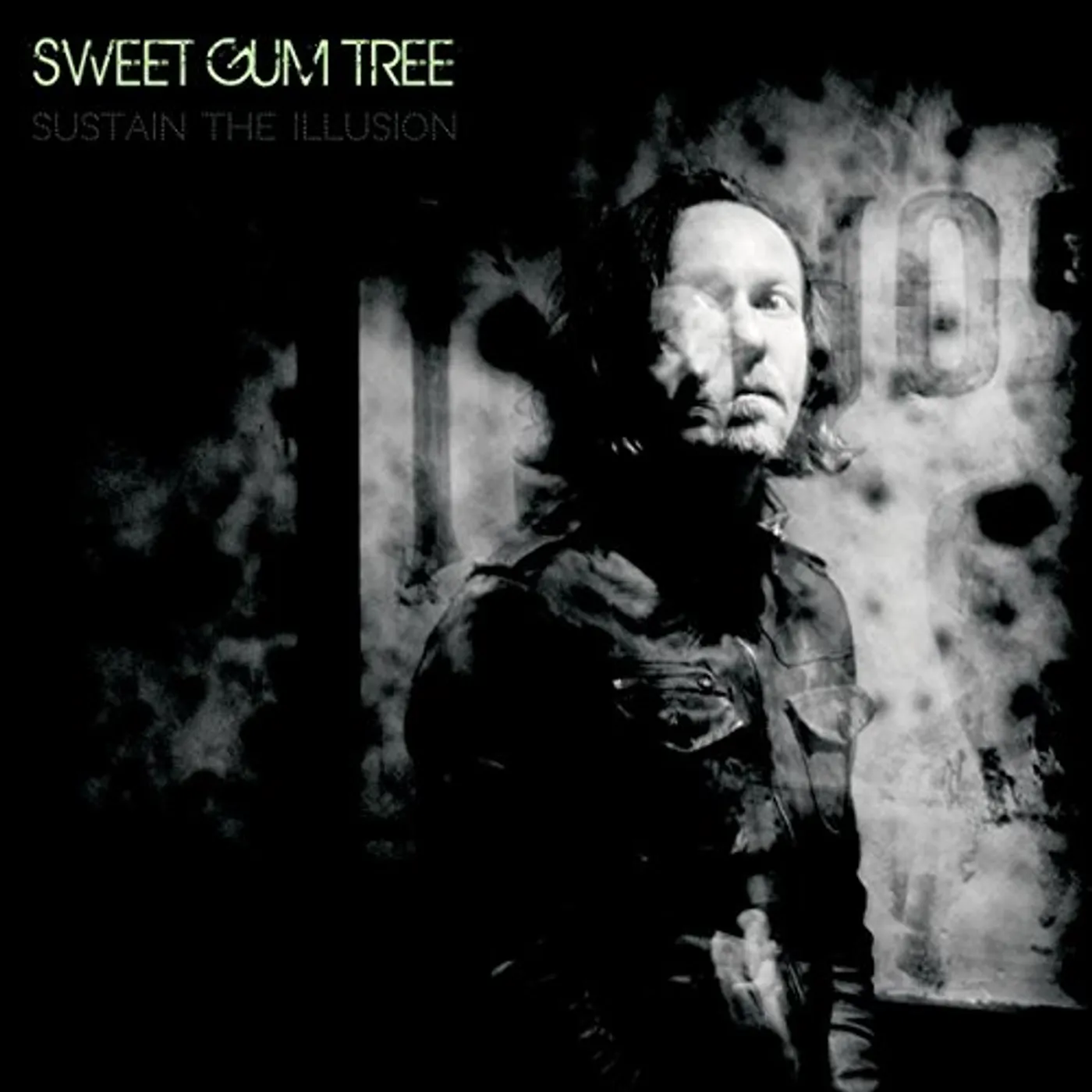 Sweet Gum Tree SUSTAIN THE ILLUSION CD