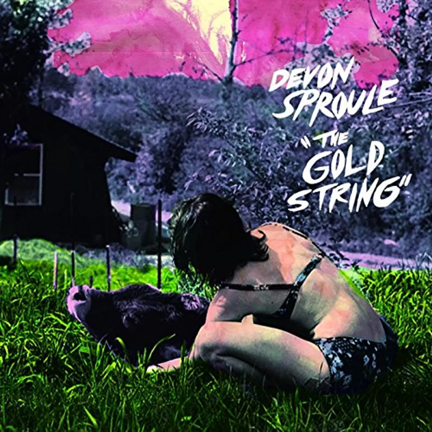 Devon Sproule GOLD STRING Vinyl Record