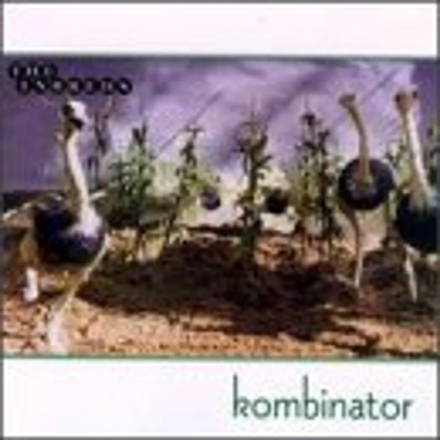 The Inbreds Kombinator Vinyl Record