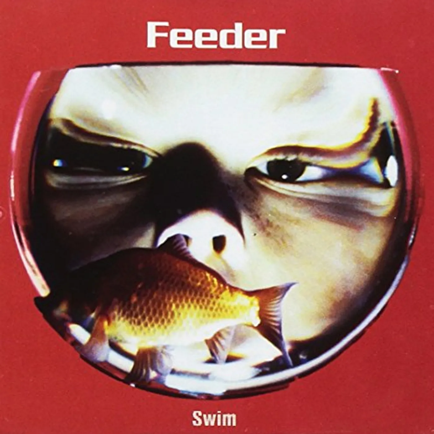 Feeder SWIM CD