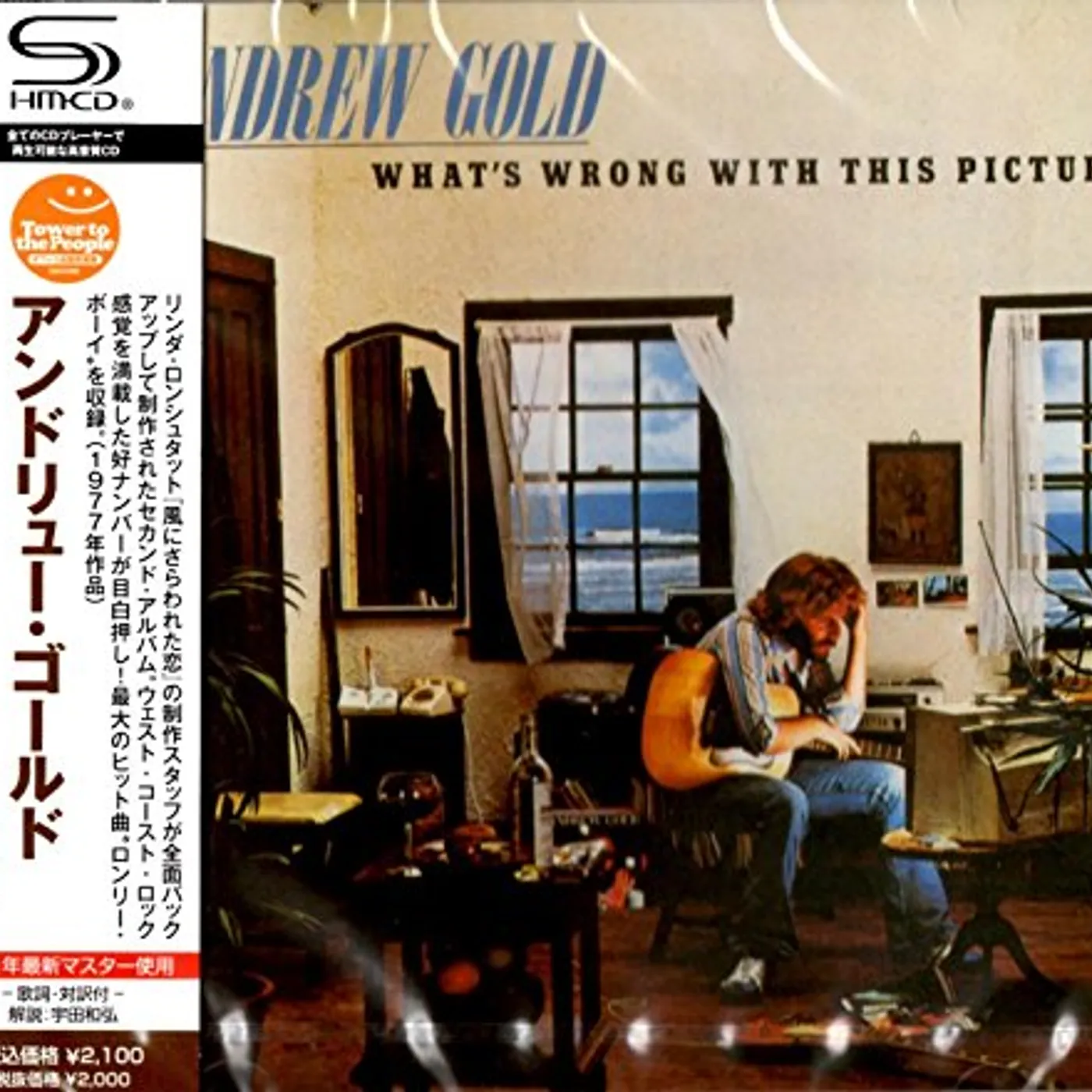 Andrew Gold WHAT'S WRONG WITH THIS PICTURE? CD