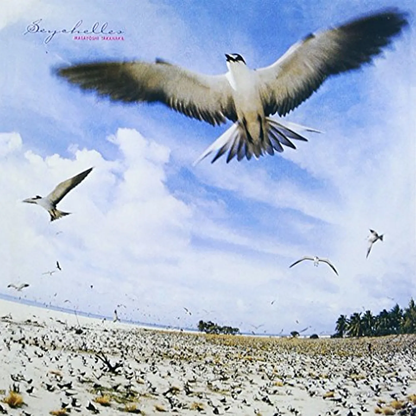 Masayoshi Takanaka SEYCHELLES CD