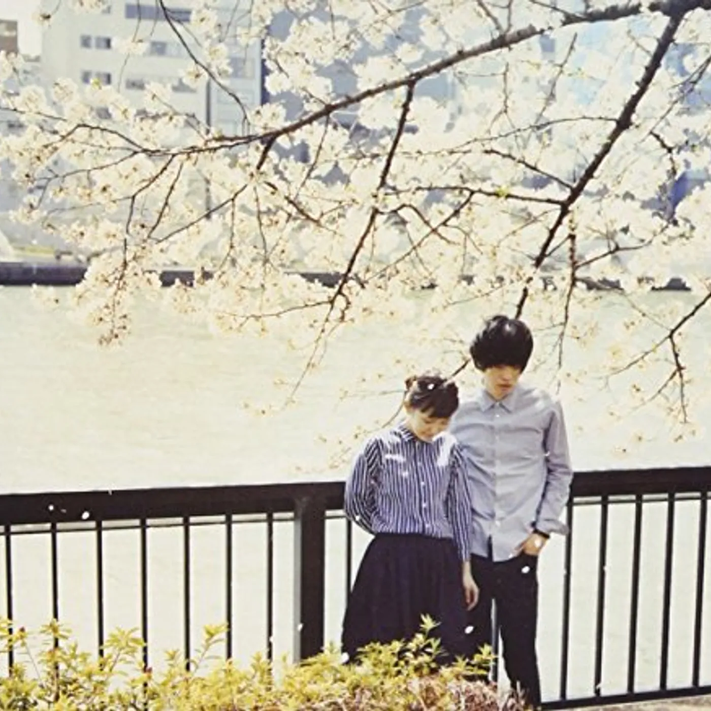 SUNNY DAY SERVICE BEST CD