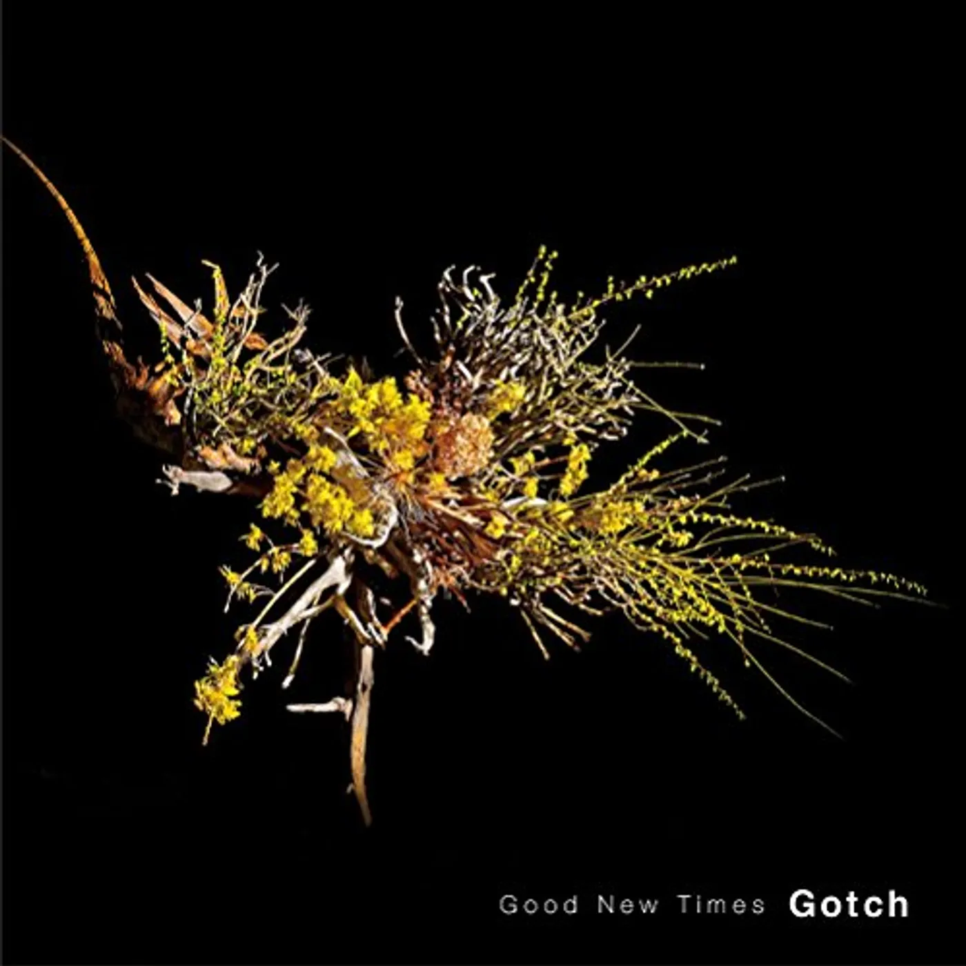 Gotch GOOD NEW TIMES CD