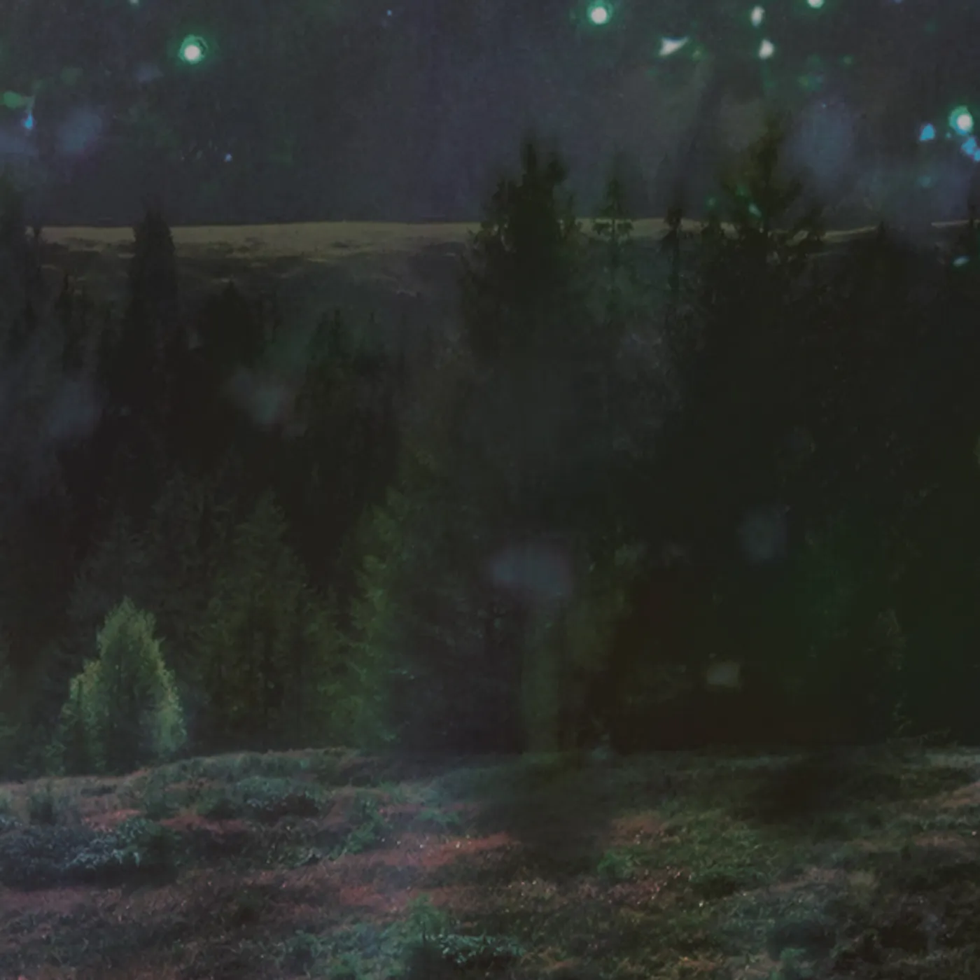 Bigeneric SPIELMANDA CD