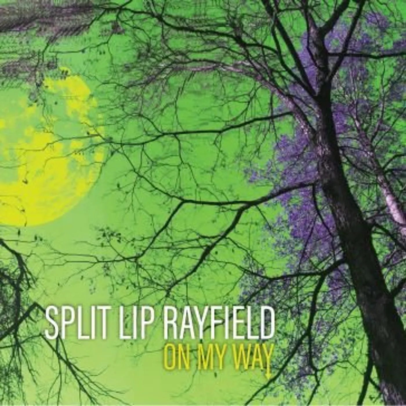 Split Lip Rayfield ON MY WAY CD