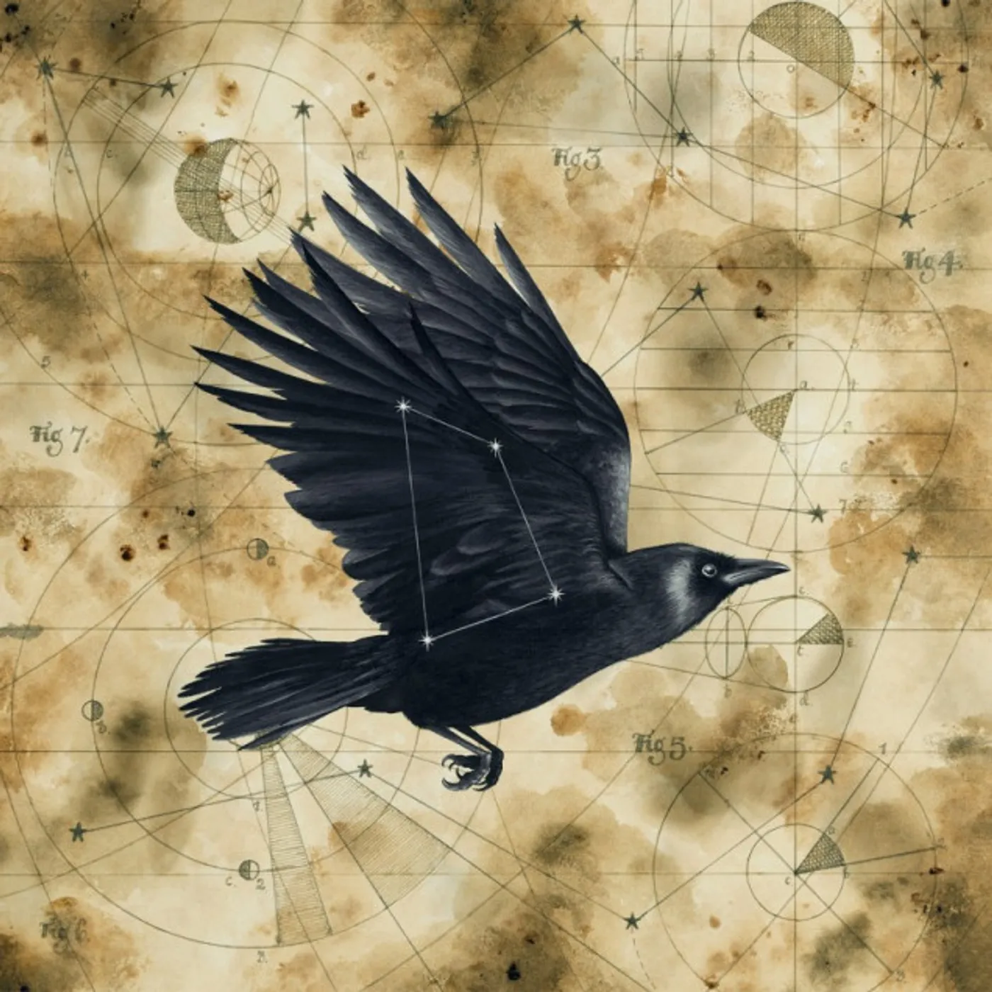 Big Big Train GRIMSPOUND CD