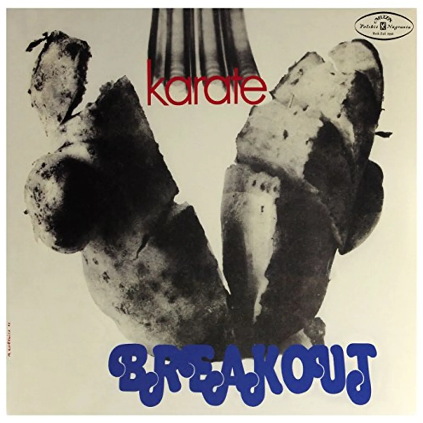 Breakout Karate Vinyl Record