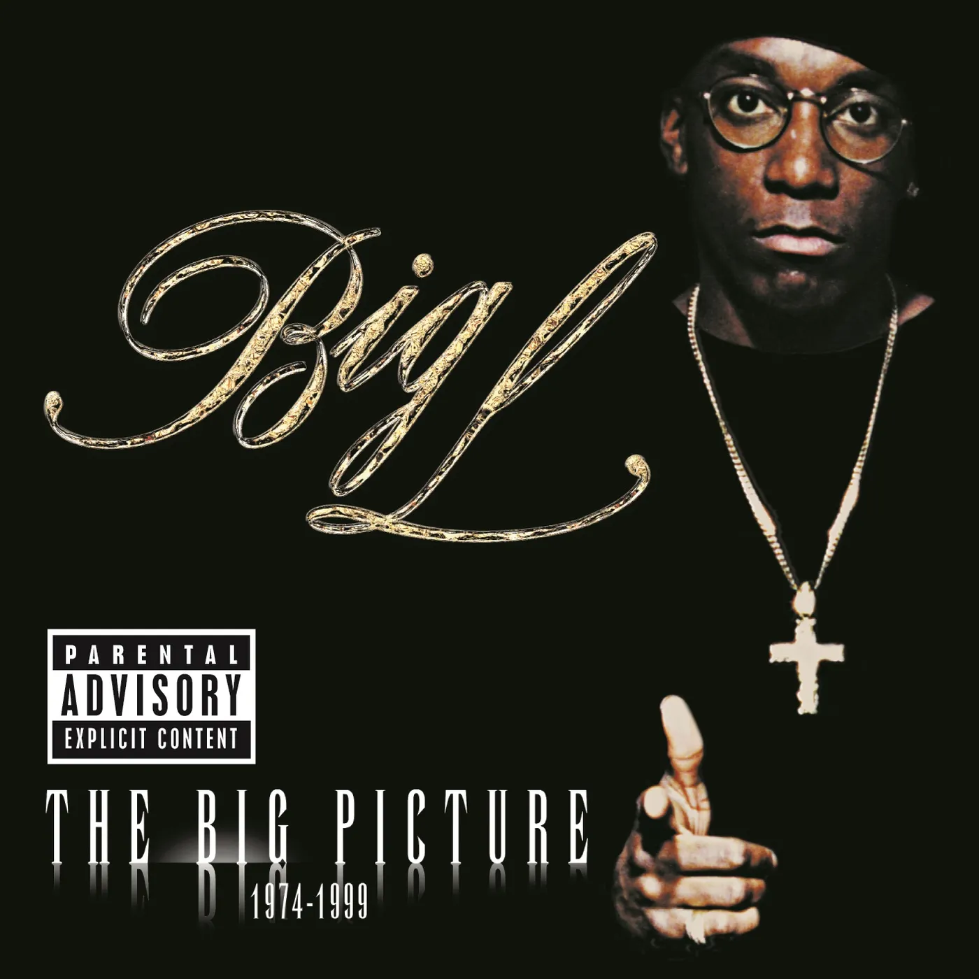 Big L THE BIG PICTURE CD