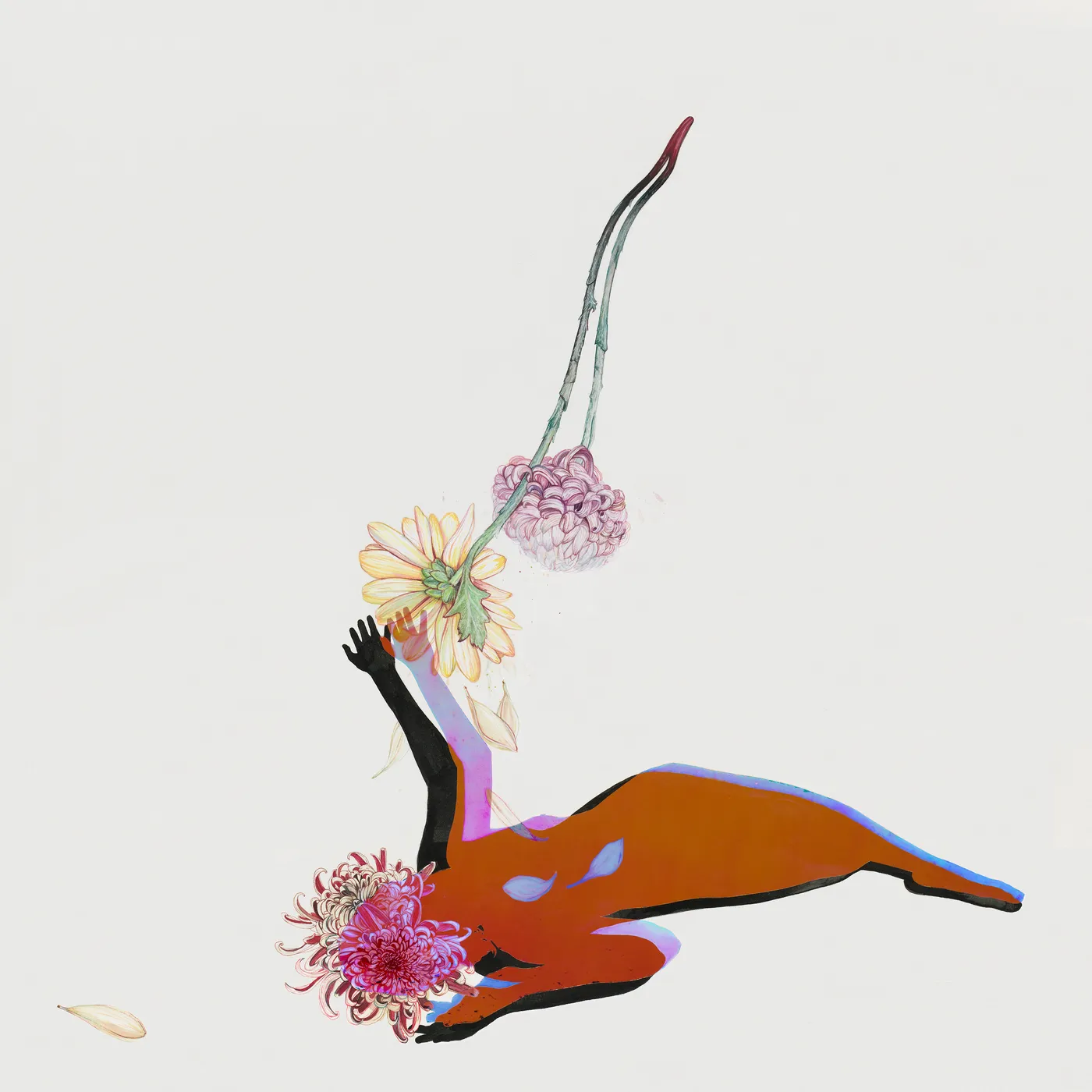 Future Islands FAR FIELD CD