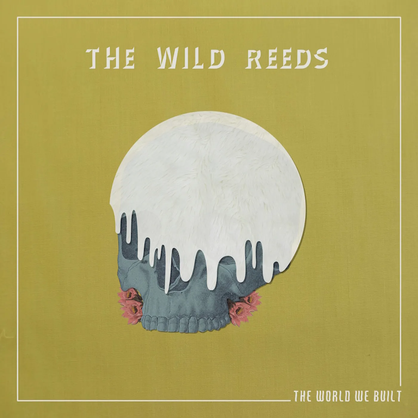 The Wild Reeds WORLD WE BUILT Vinyl Record