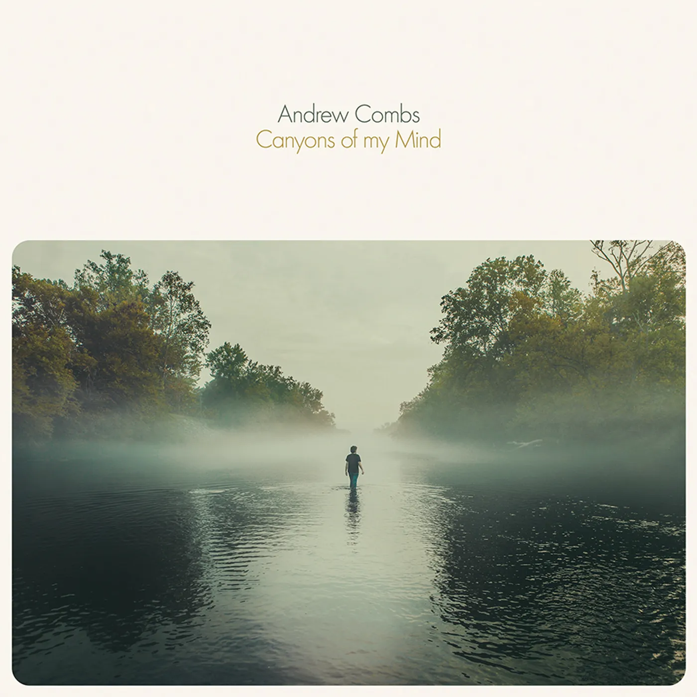 Andrew Combs Canyons of My Mind Vinyl Record