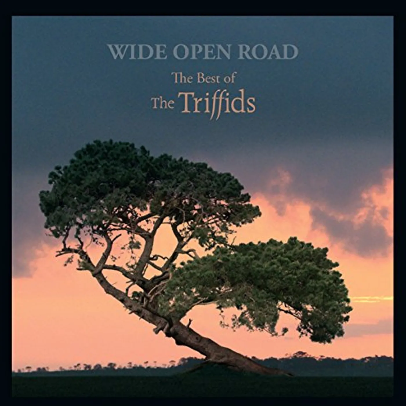 WIDE OPEN ROAD: BEST OF THE TRIFFIDS CD