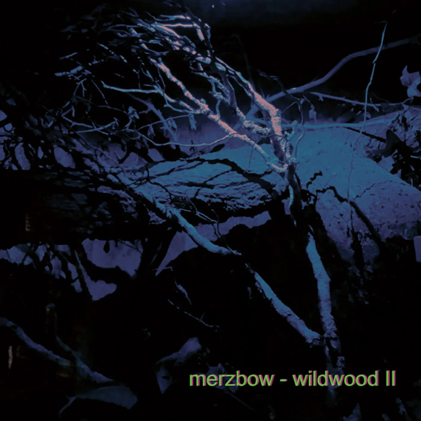 Merzbow WILDWOOD II Vinyl Record