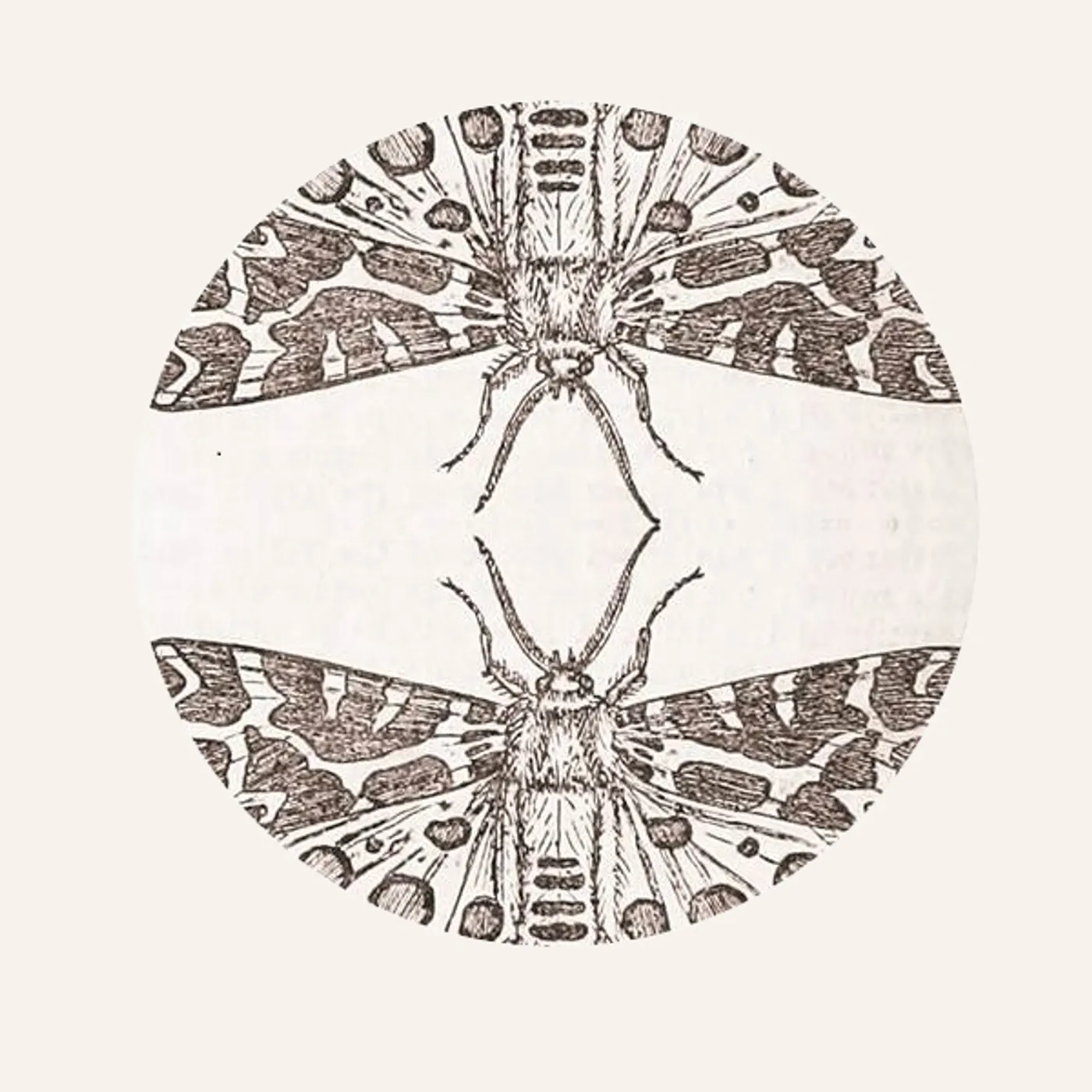 Jute Gyte SPARROW Vinyl Record