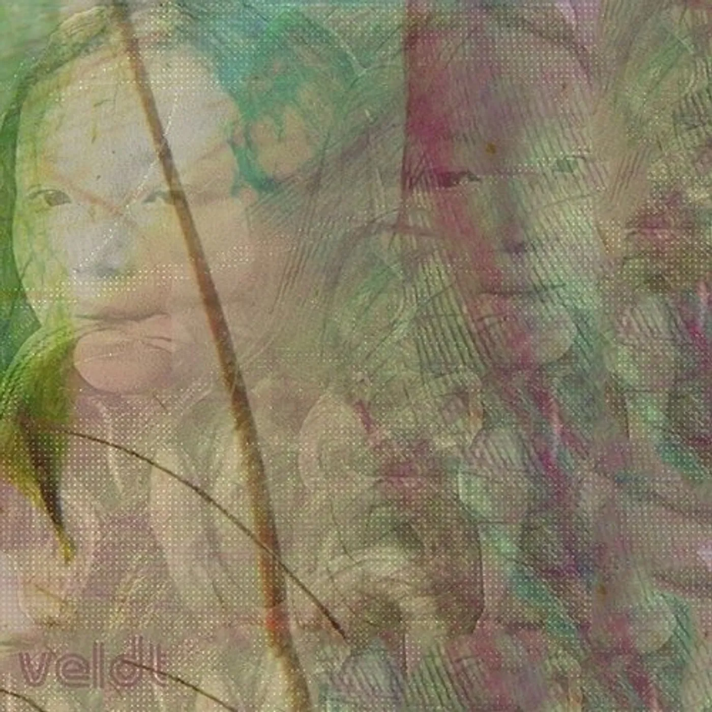 The Veldt SYMMETRY / SLOW GRIND Vinyl Record