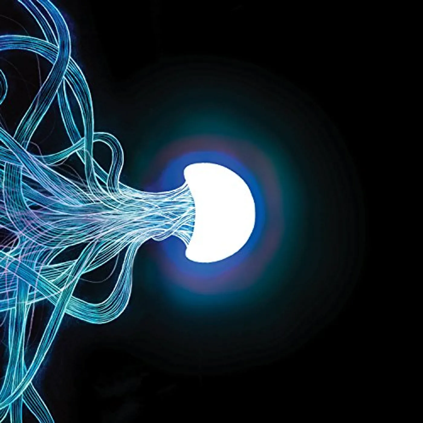 Elephant Tree Vinyl Record