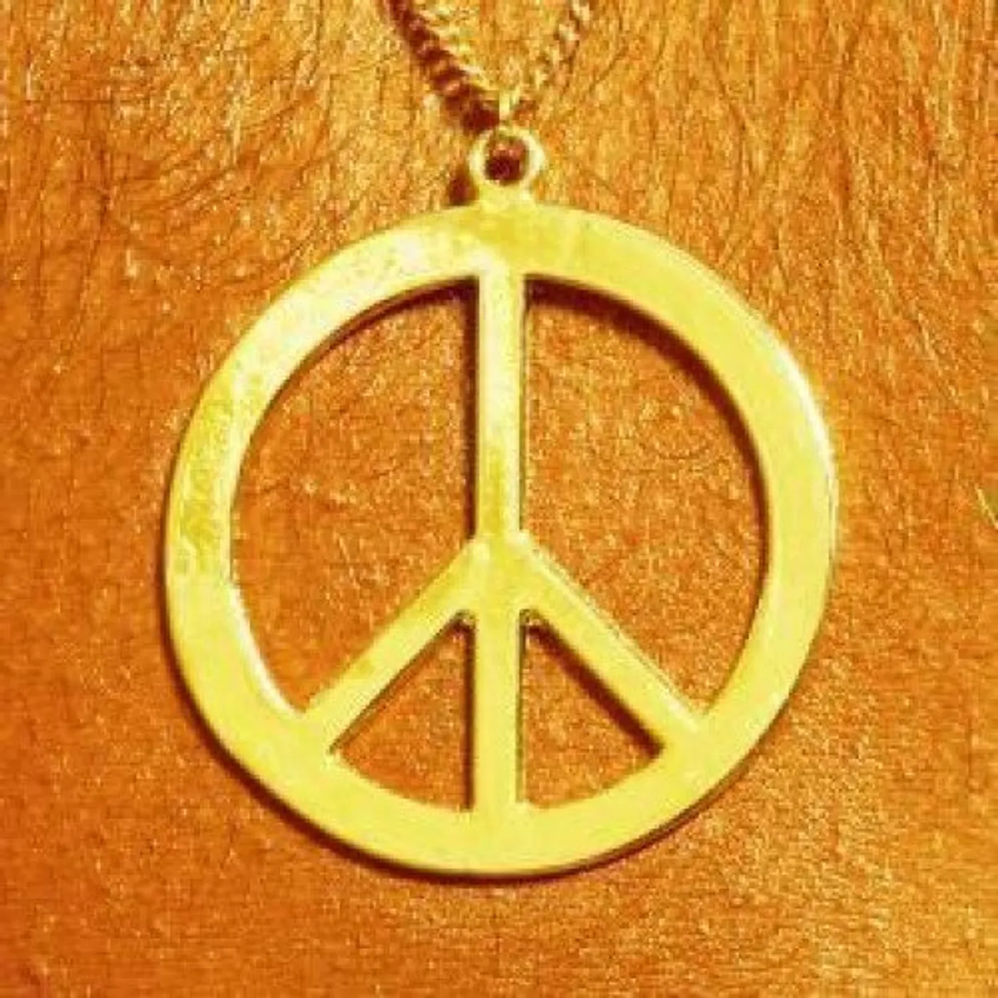 Peace Money Vinyl Record