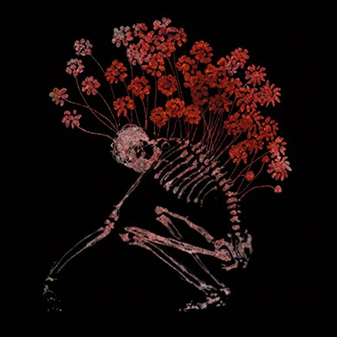 Tenhi Folk Aesthetic 1996-2006 Vinyl Record