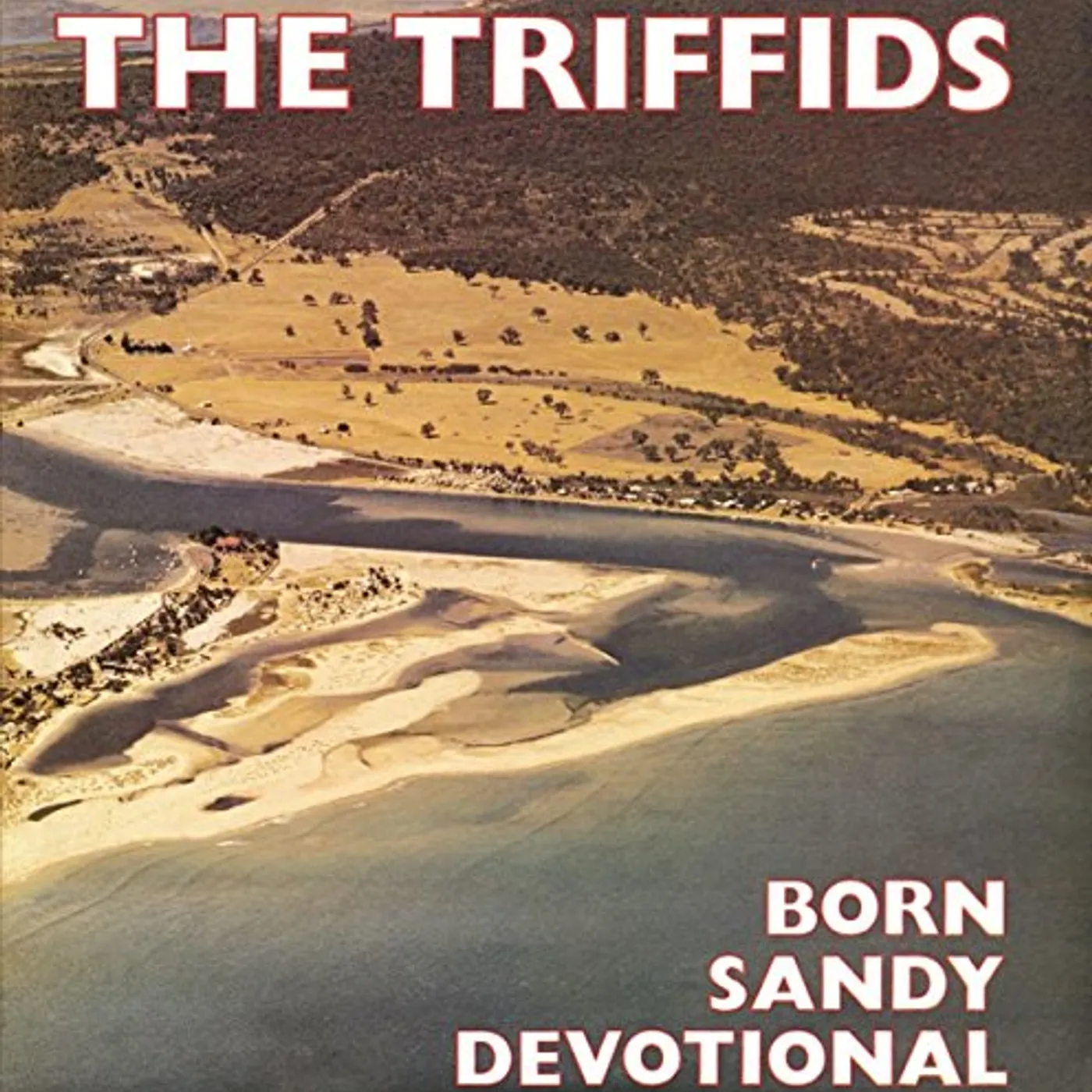 The Triffids BORN SANDY DEVOTIONAL CD