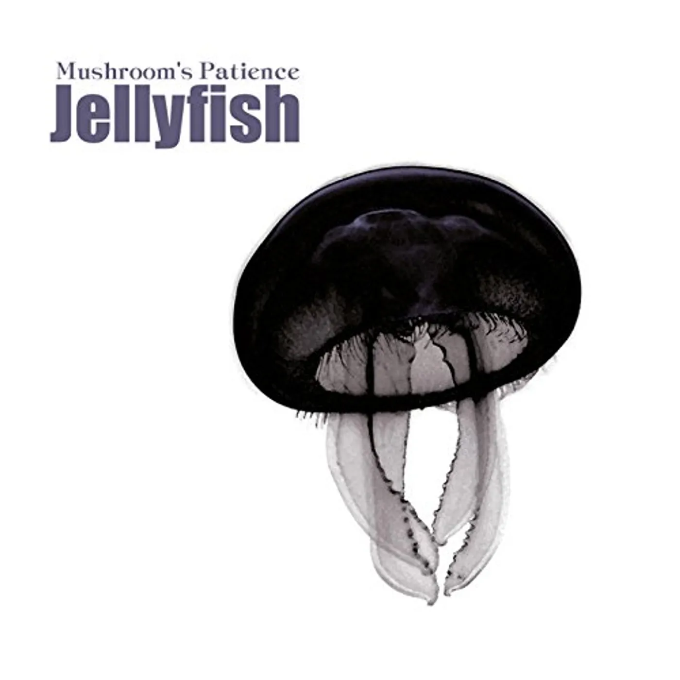Mushroom's Patience JELLYFISH CD
