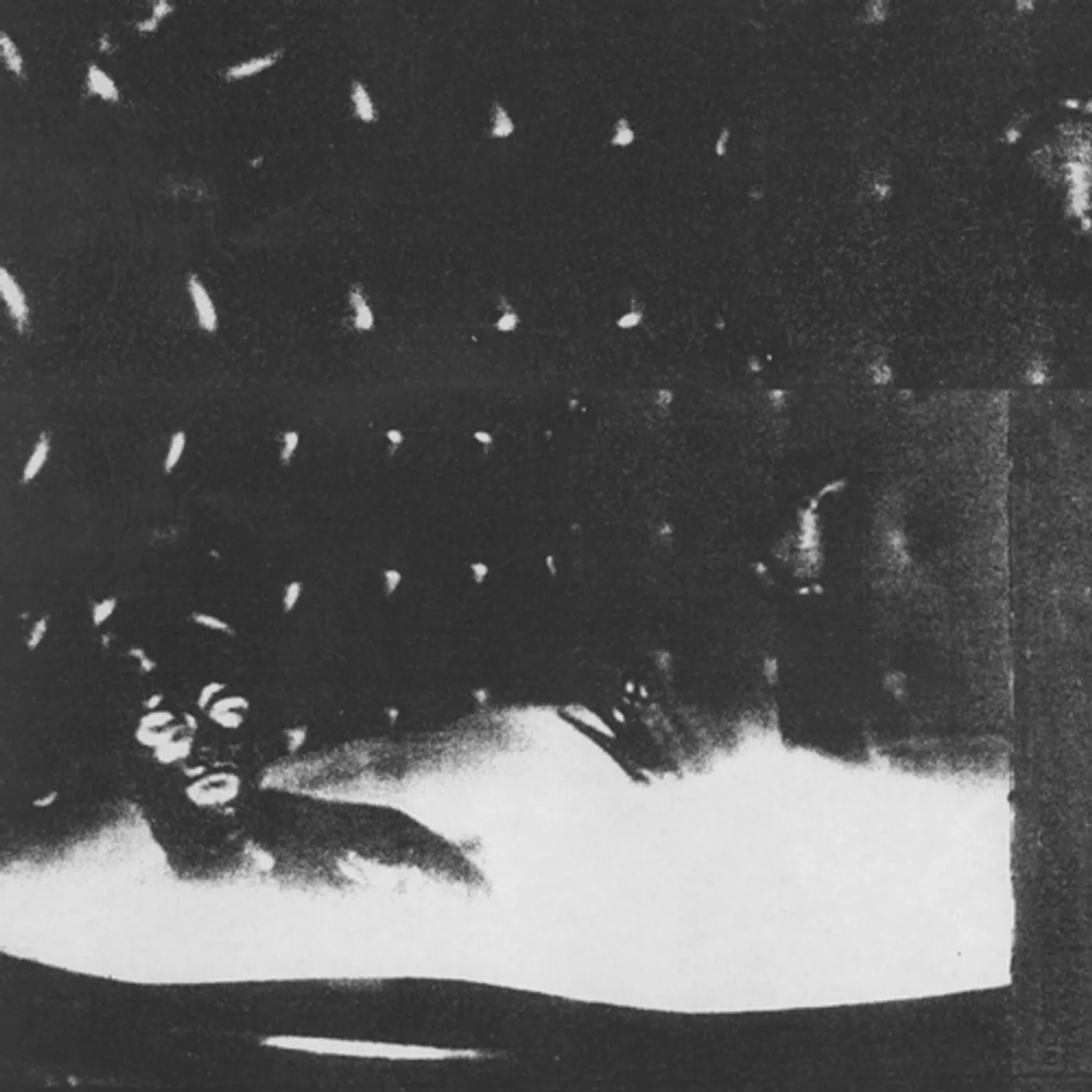 Cindy-Lee Malenkost Vinyl Record