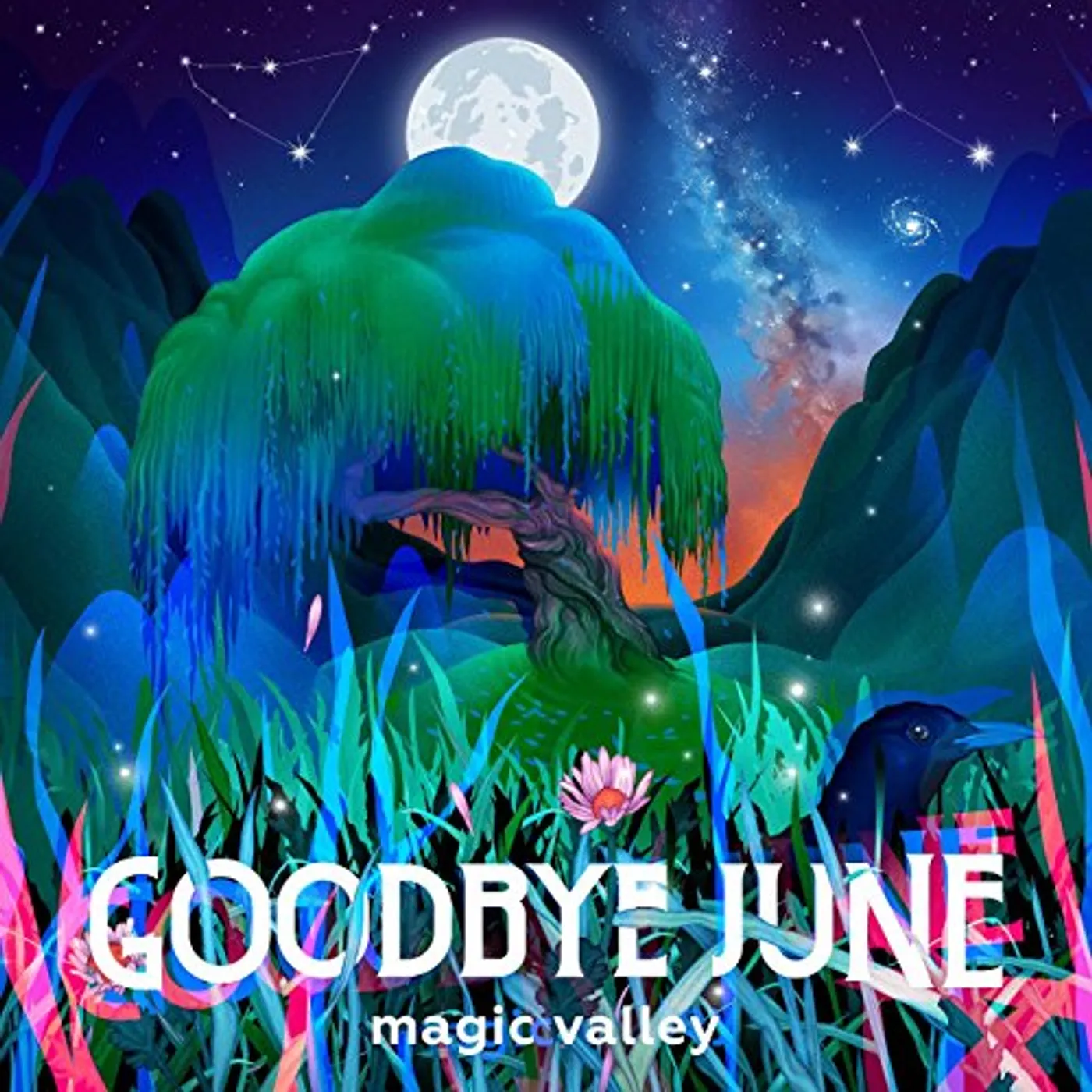 Goodbye June MAGIC VALLEY CD