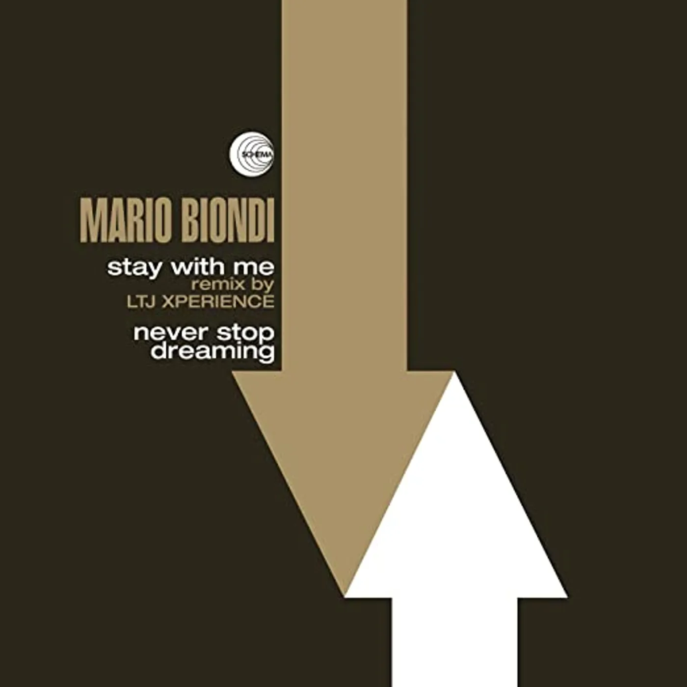 Mario Biondi STAY WITH ME (REMIX BY LTJ XPERIENCE) / NEVER STOP Vinyl Record