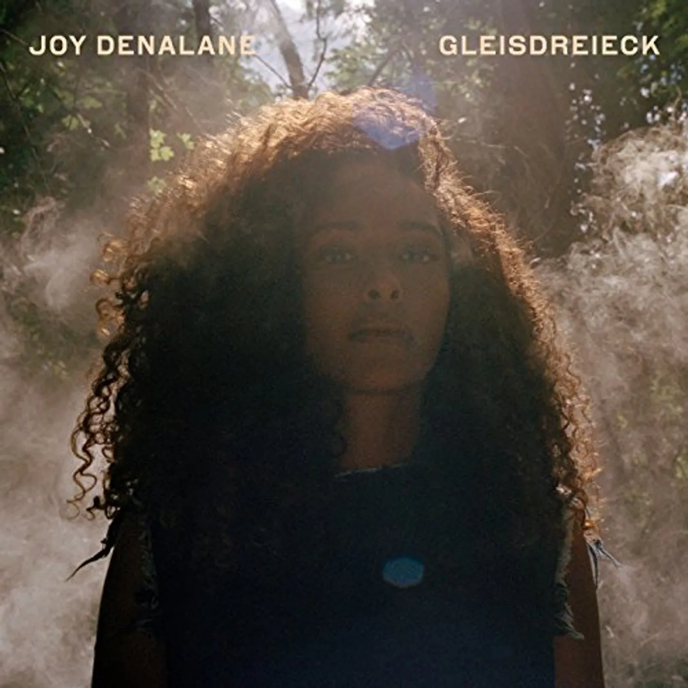 Joy Denalane Gleisdreieck Vinyl Record
