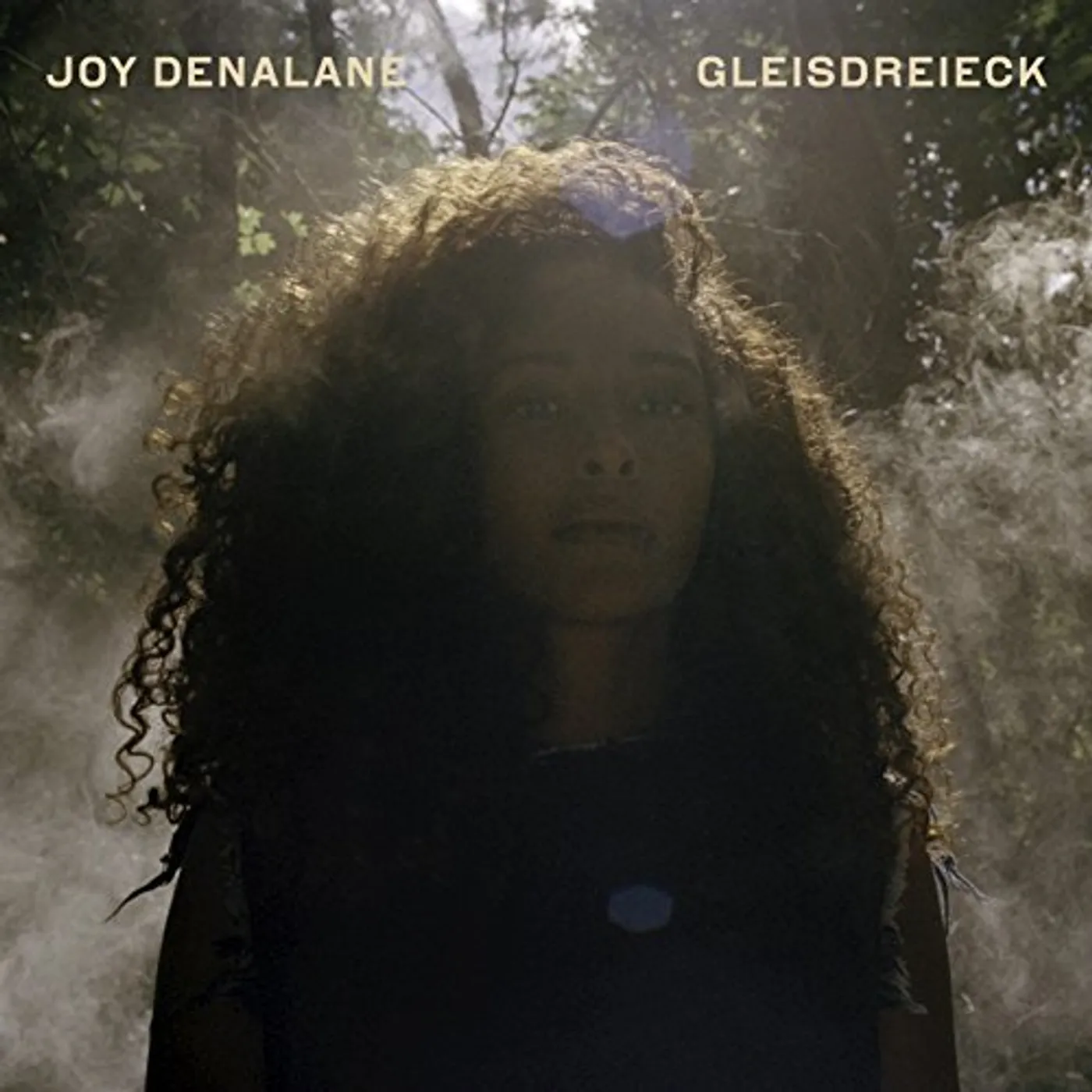 Joy Denalane GLEISDREIECK CD