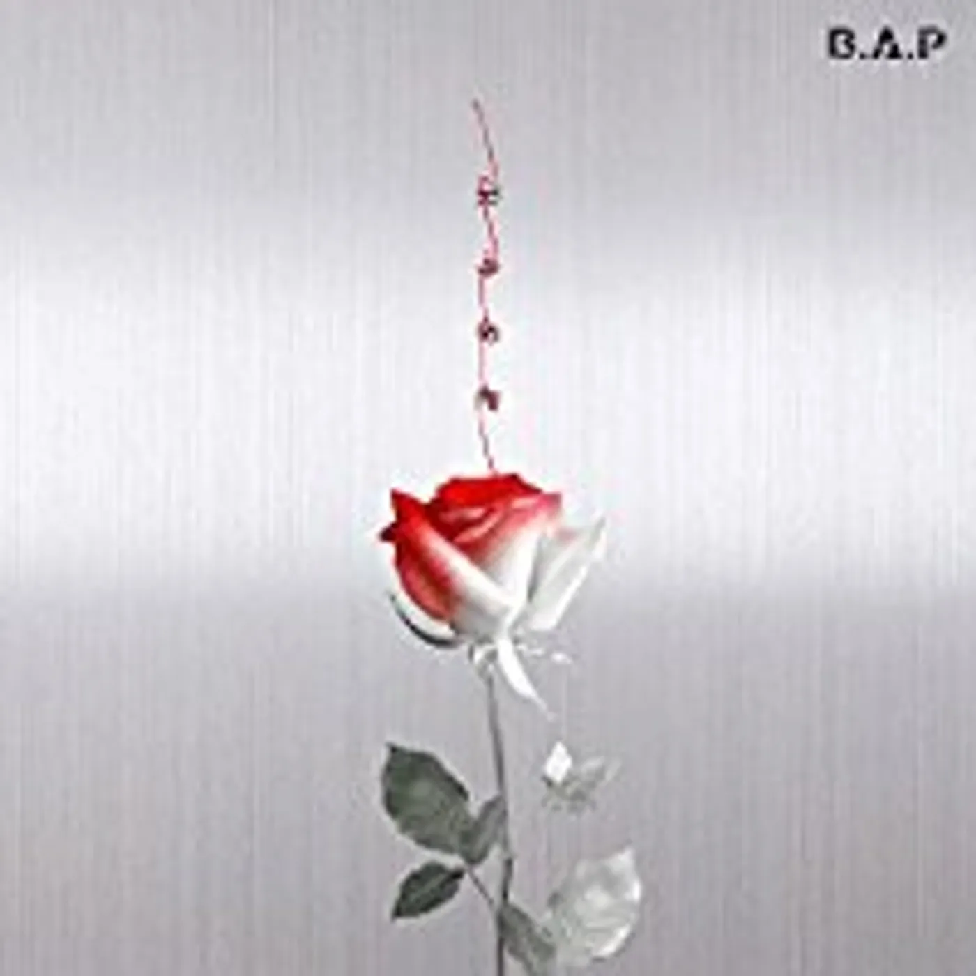 B. A. P. ROSE (B VERSION) CD