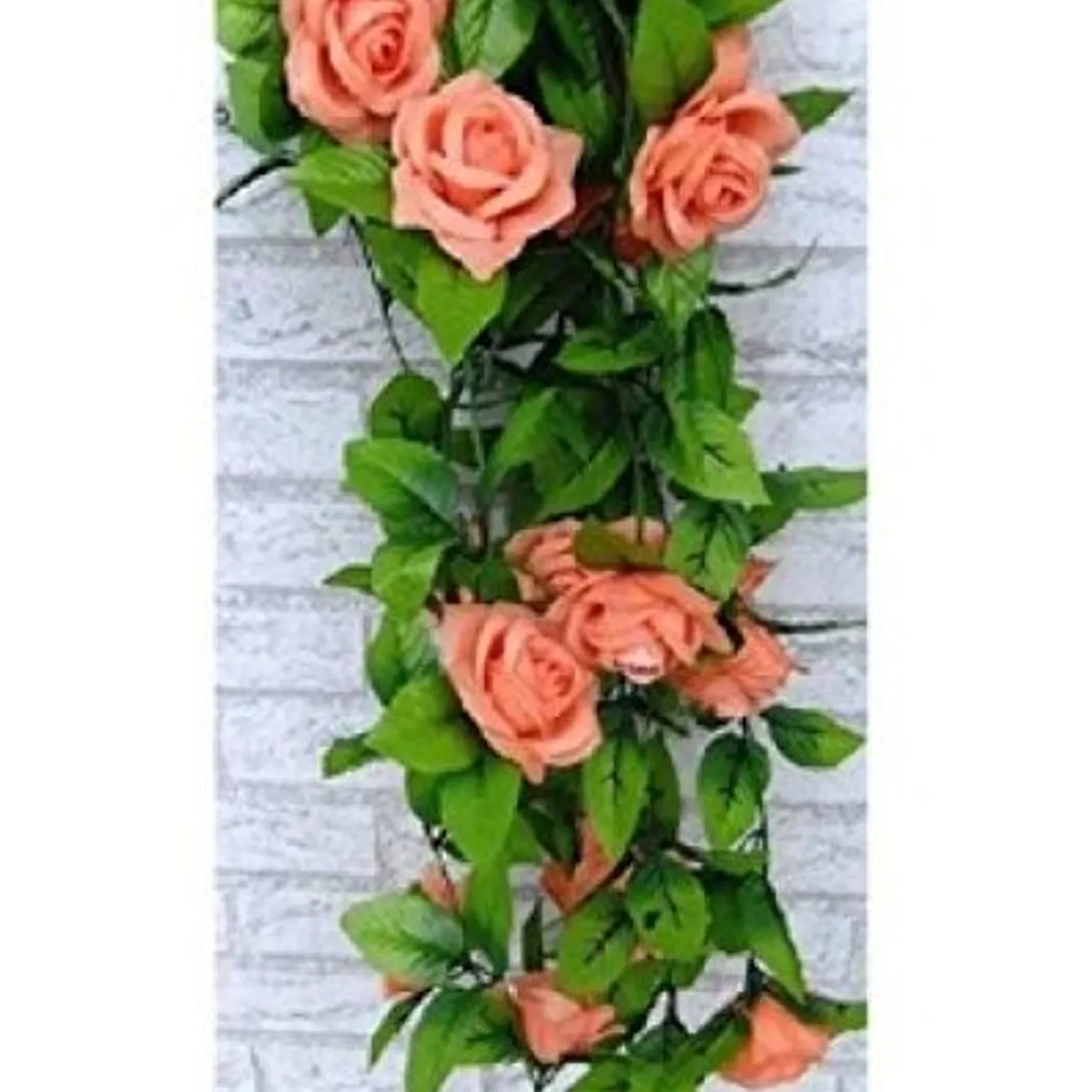 Lee Kernaghan OUTBACK CLUB CD