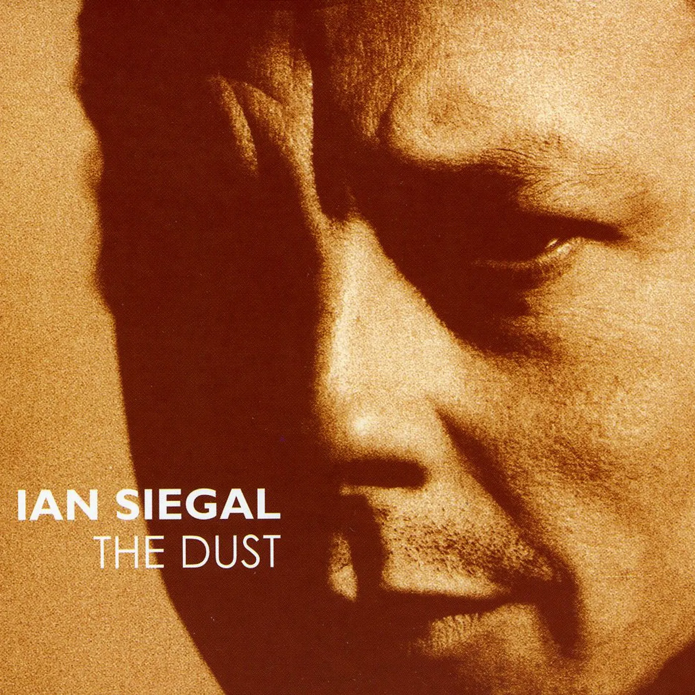 Ian Siegal DUST CD