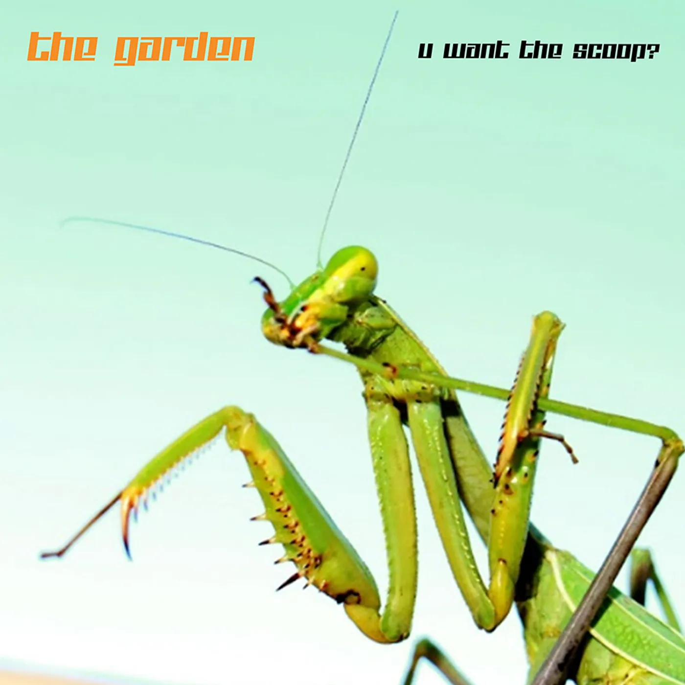 The Garden U Want The Scoop Vinyl Record