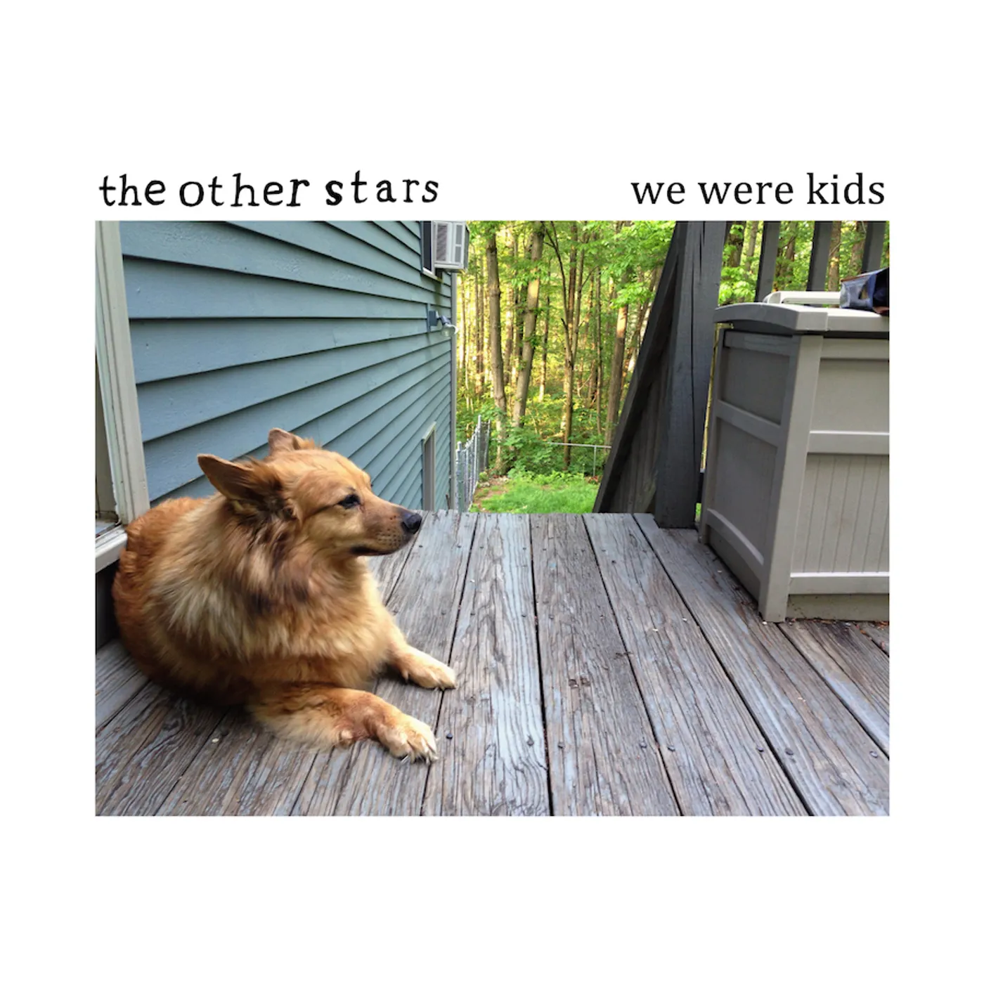 The Other Stars We Were Kids Vinyl Record