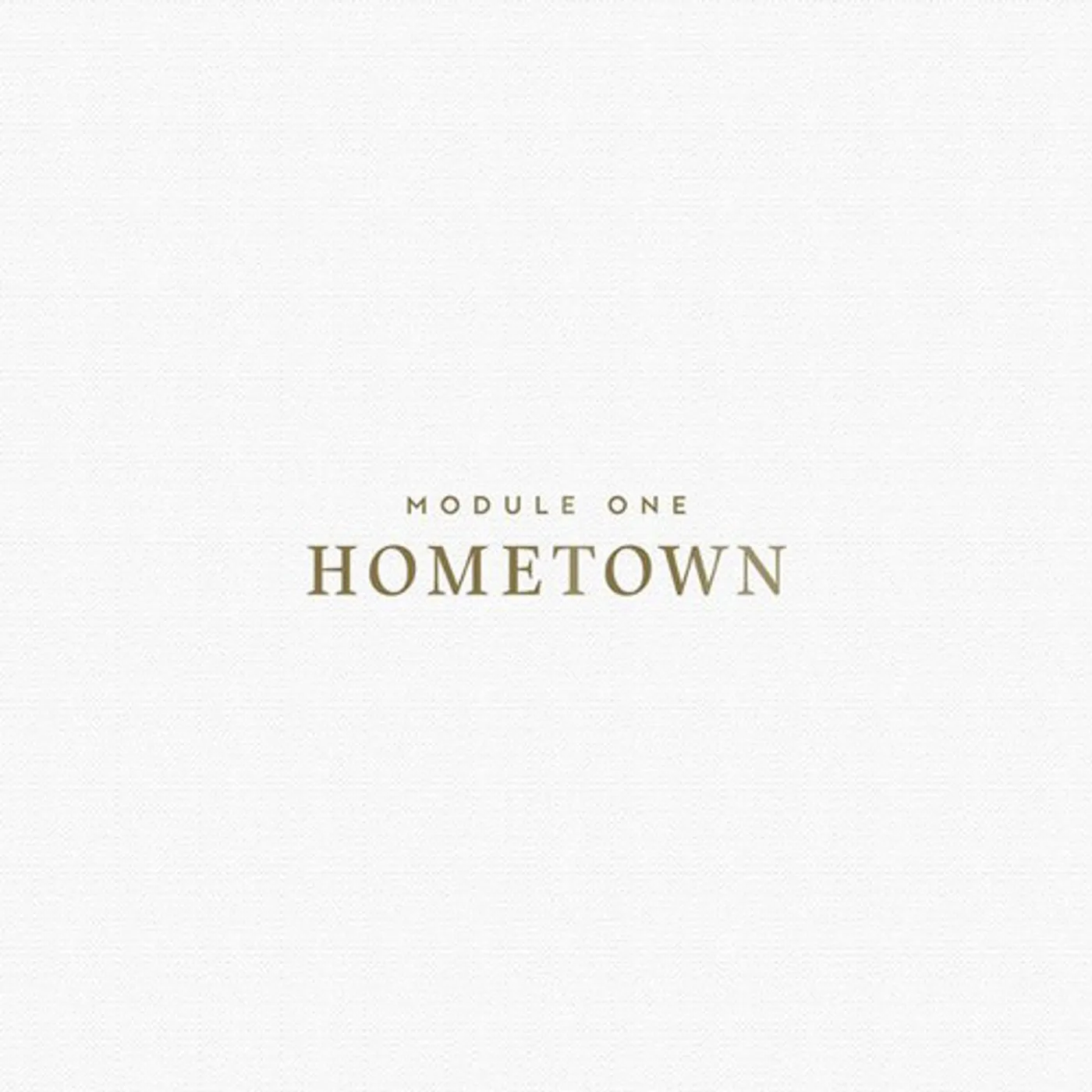 Module One Hometown Vinyl Record