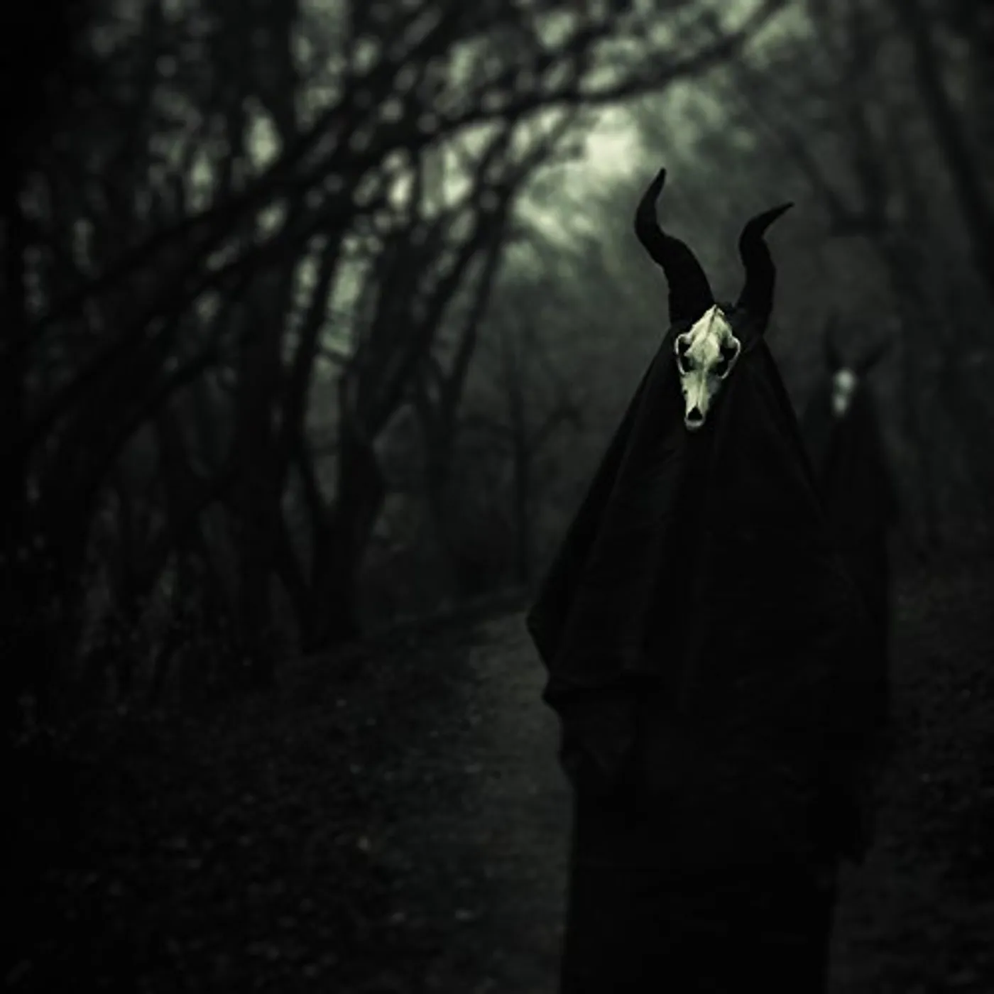 White Ward FUTILITY REPORT Vinyl Record