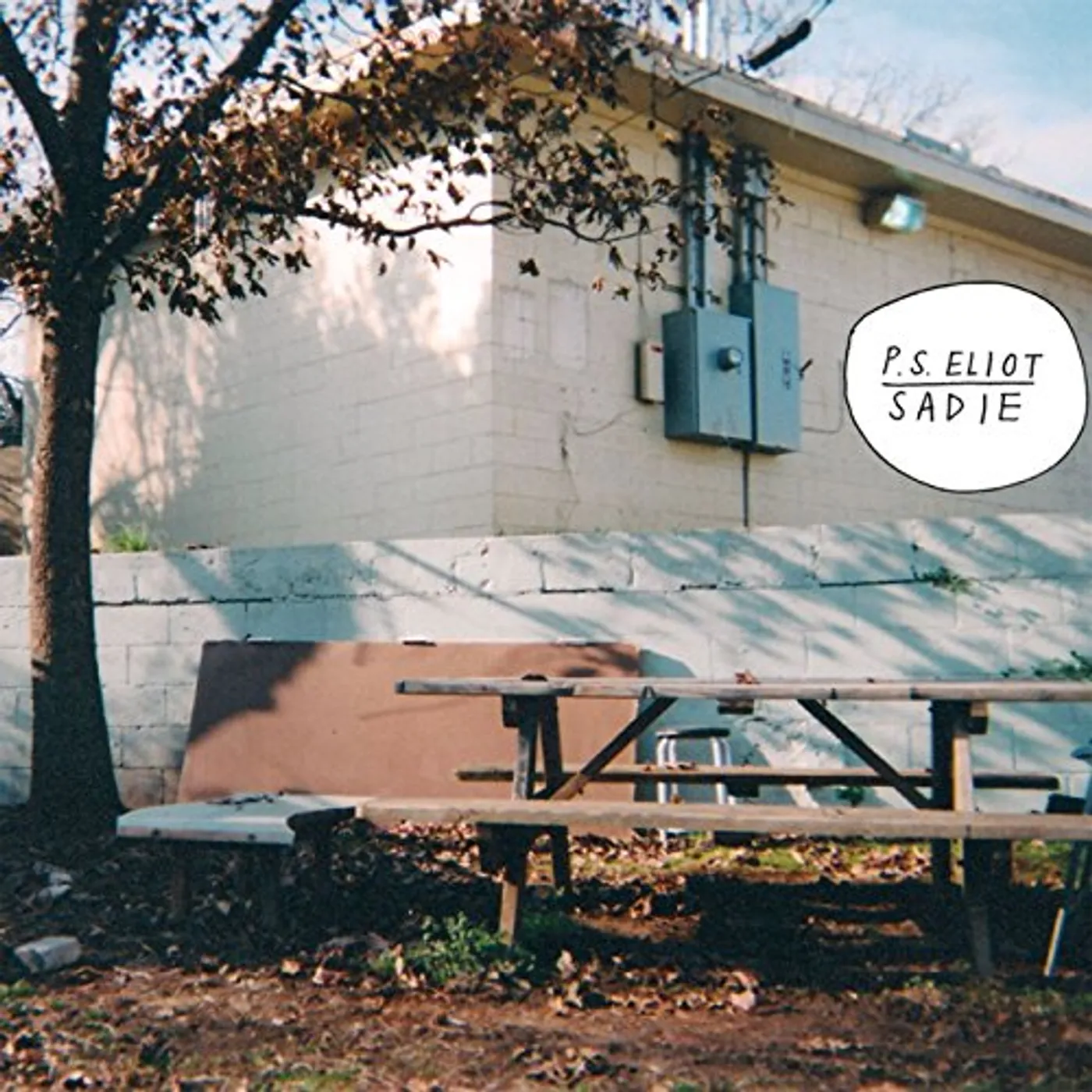 P.S. Eliot Sadie Vinyl Record