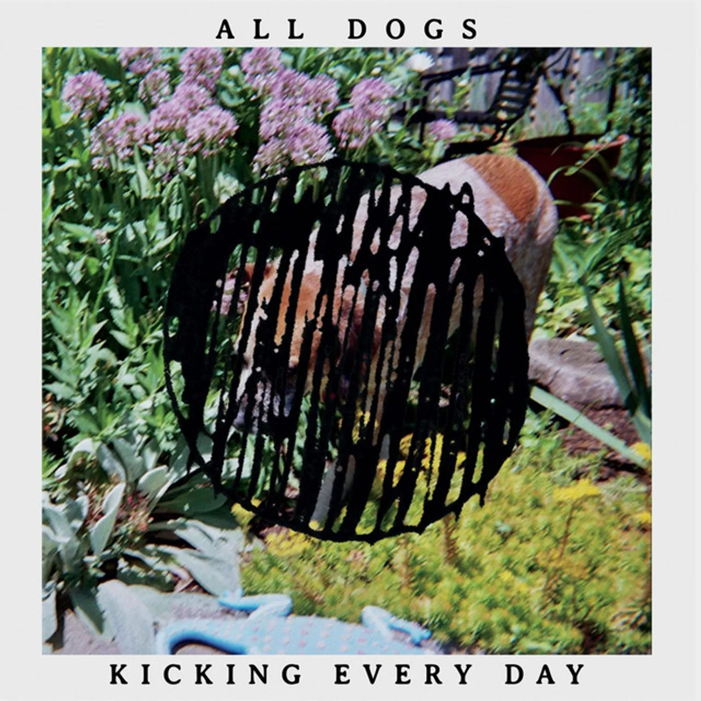 All Dogs Kicking Every Day Vinyl Record