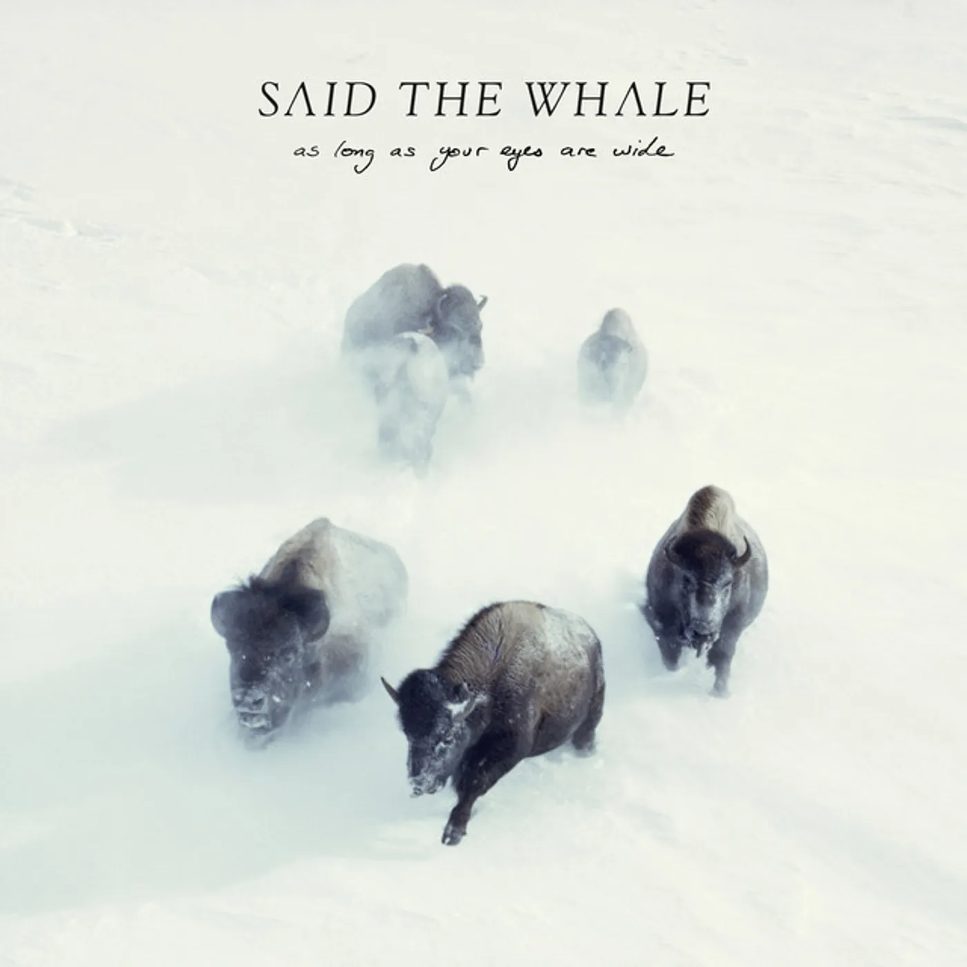 Said The Whale AS LONG AS YOUR EYERS ARE WIDE Vinyl Record