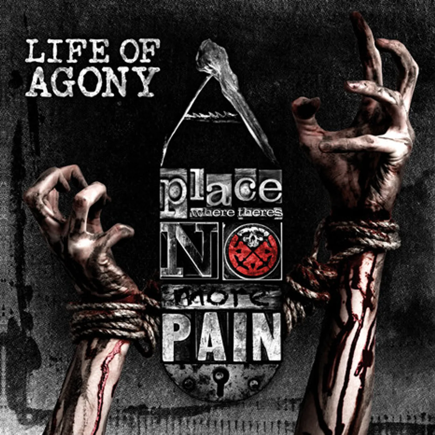 Life Of Agony PLACE WHERE THERE'S NO MORE PAIN Vinyl Record