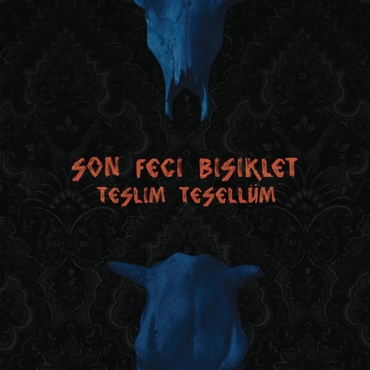 Son Feci Bisiklet TESLIM TESELLUM Vinyl Record