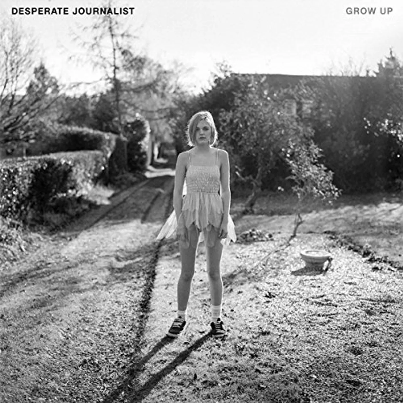 Desperate Journalist GROW UP CD