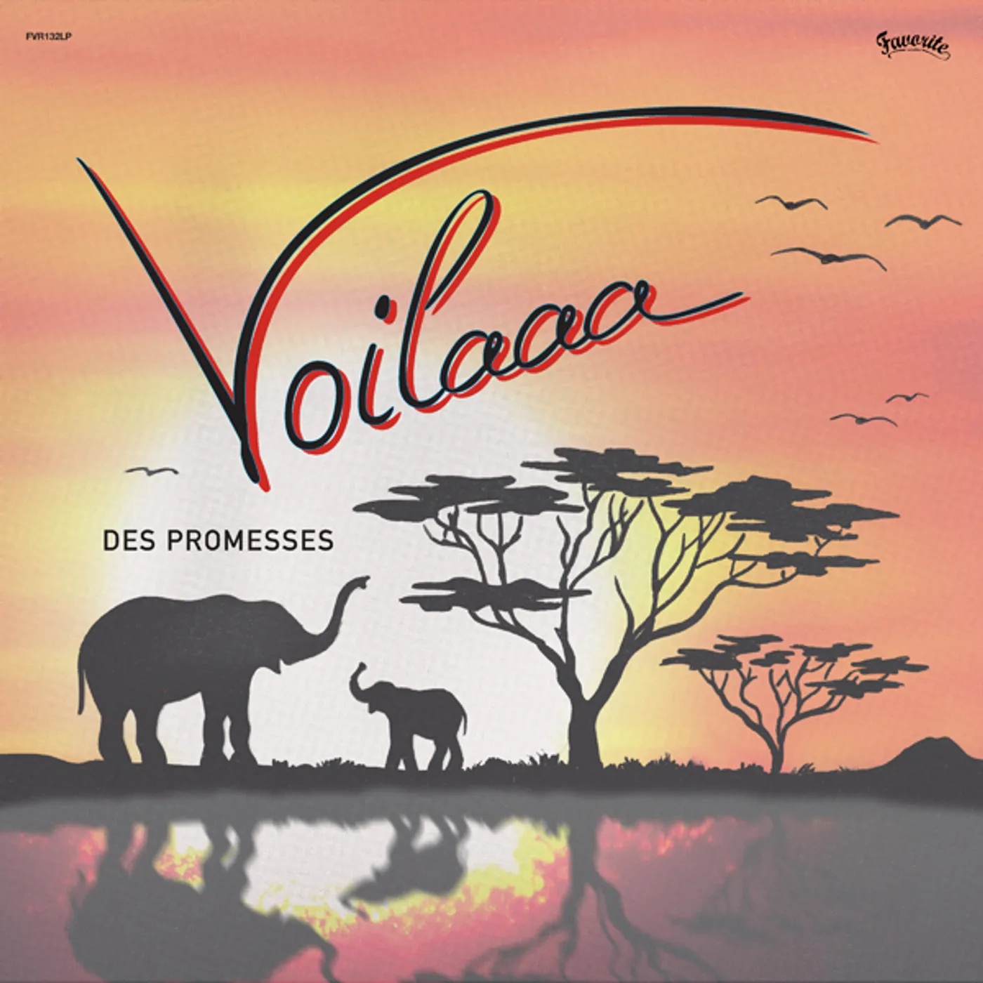 Voilaaa Des promesses Vinyl Record